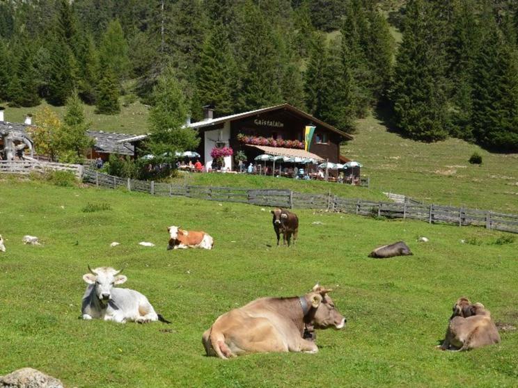 Xanderhof