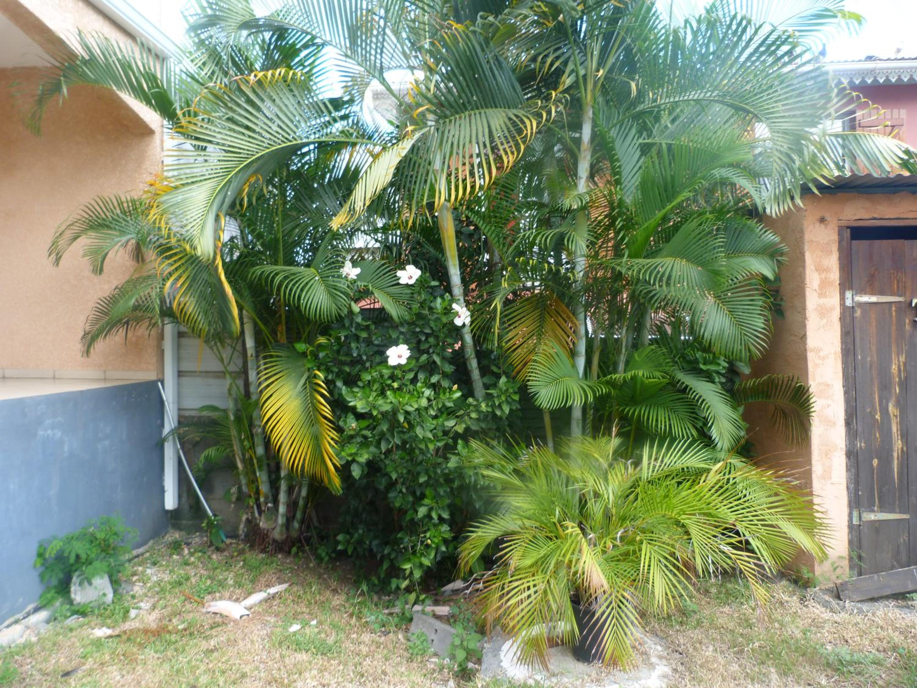 Photo 29