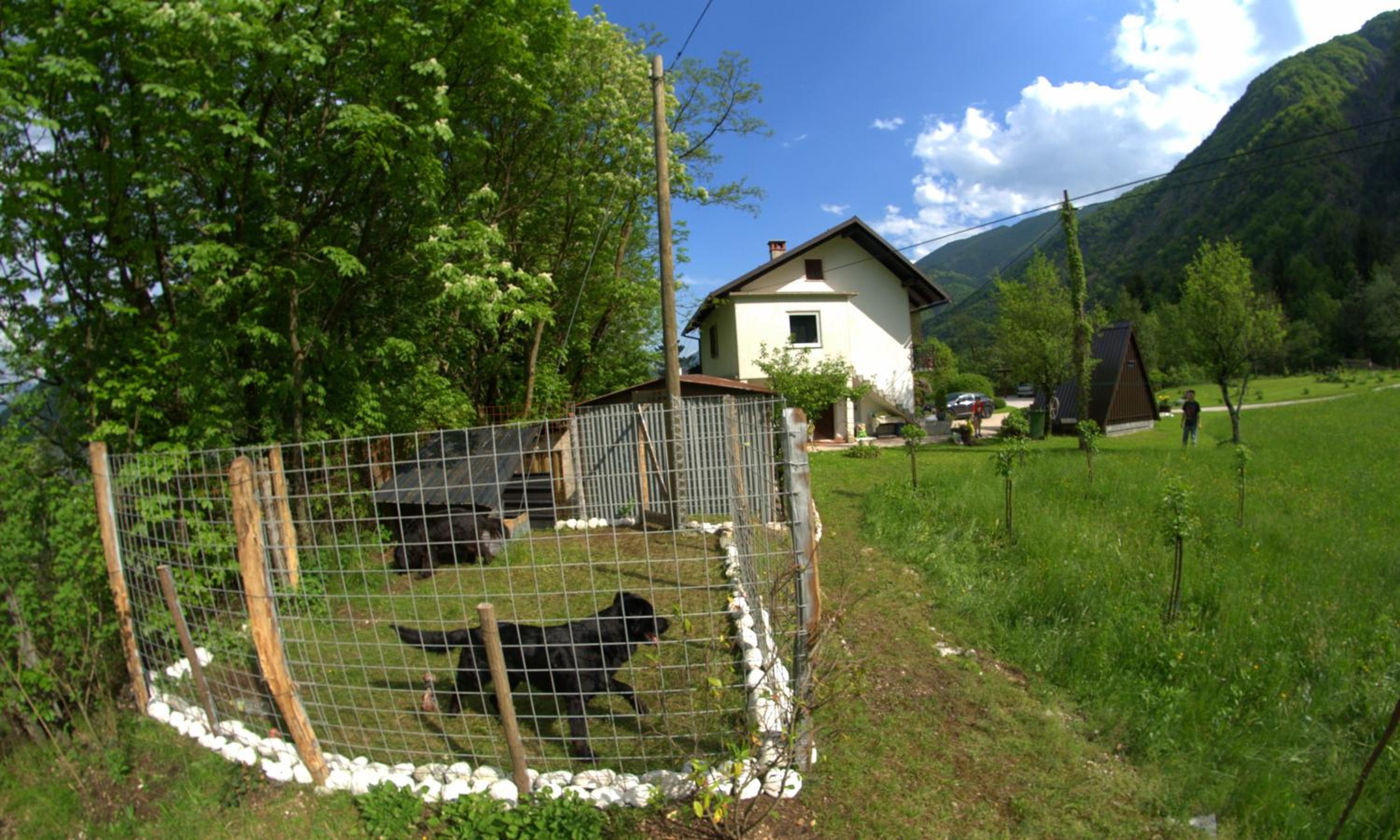 Photo 15