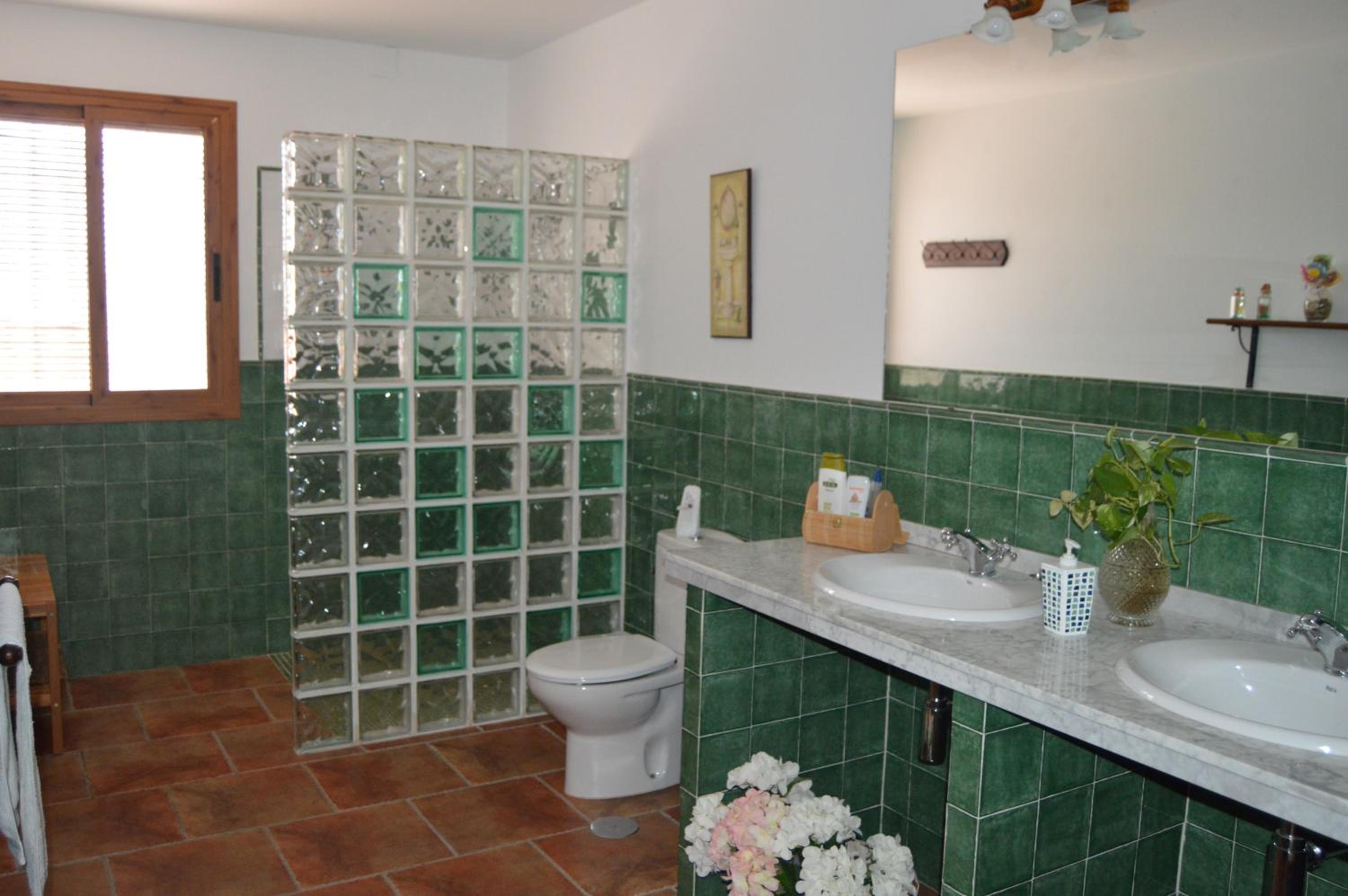 El Olivo del Moreno view 5