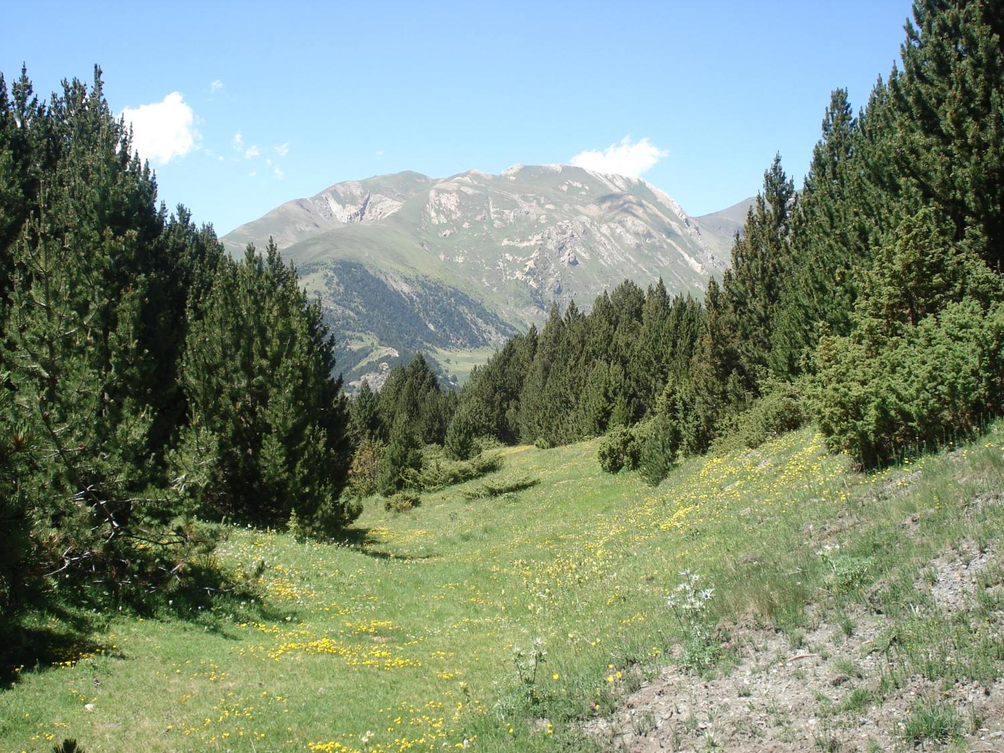 Xalet Les Avellanes - hut 7335