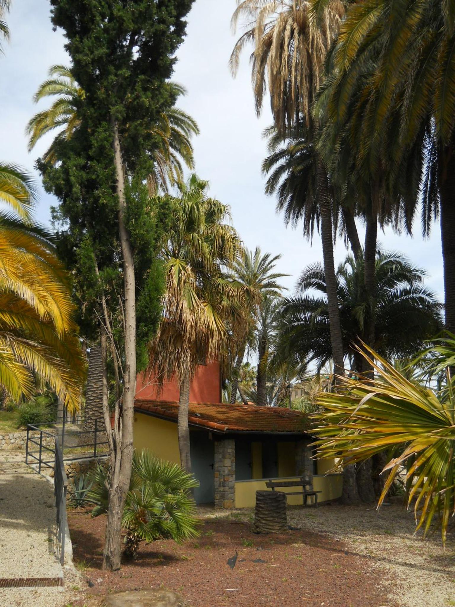 Photo 18