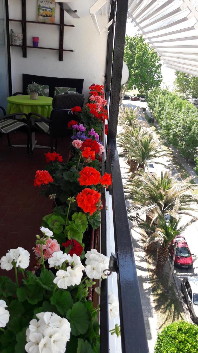 Domenica view 3