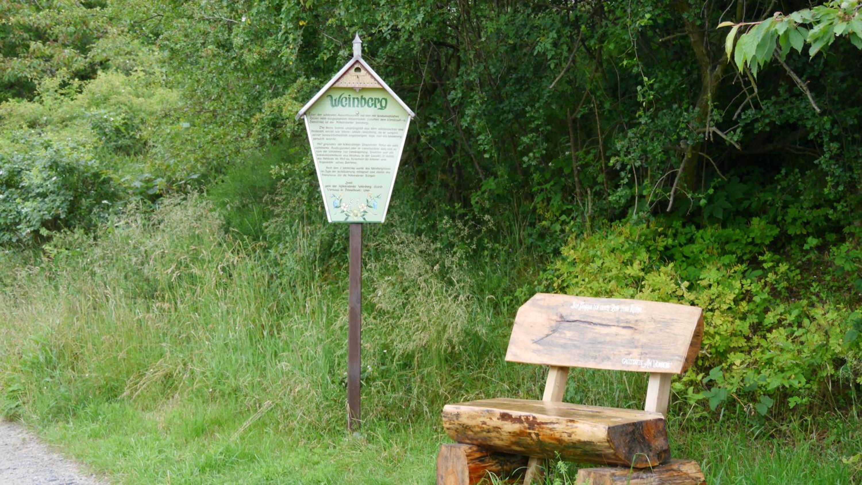 Pension Am Weinberg Sächsische Schweiz