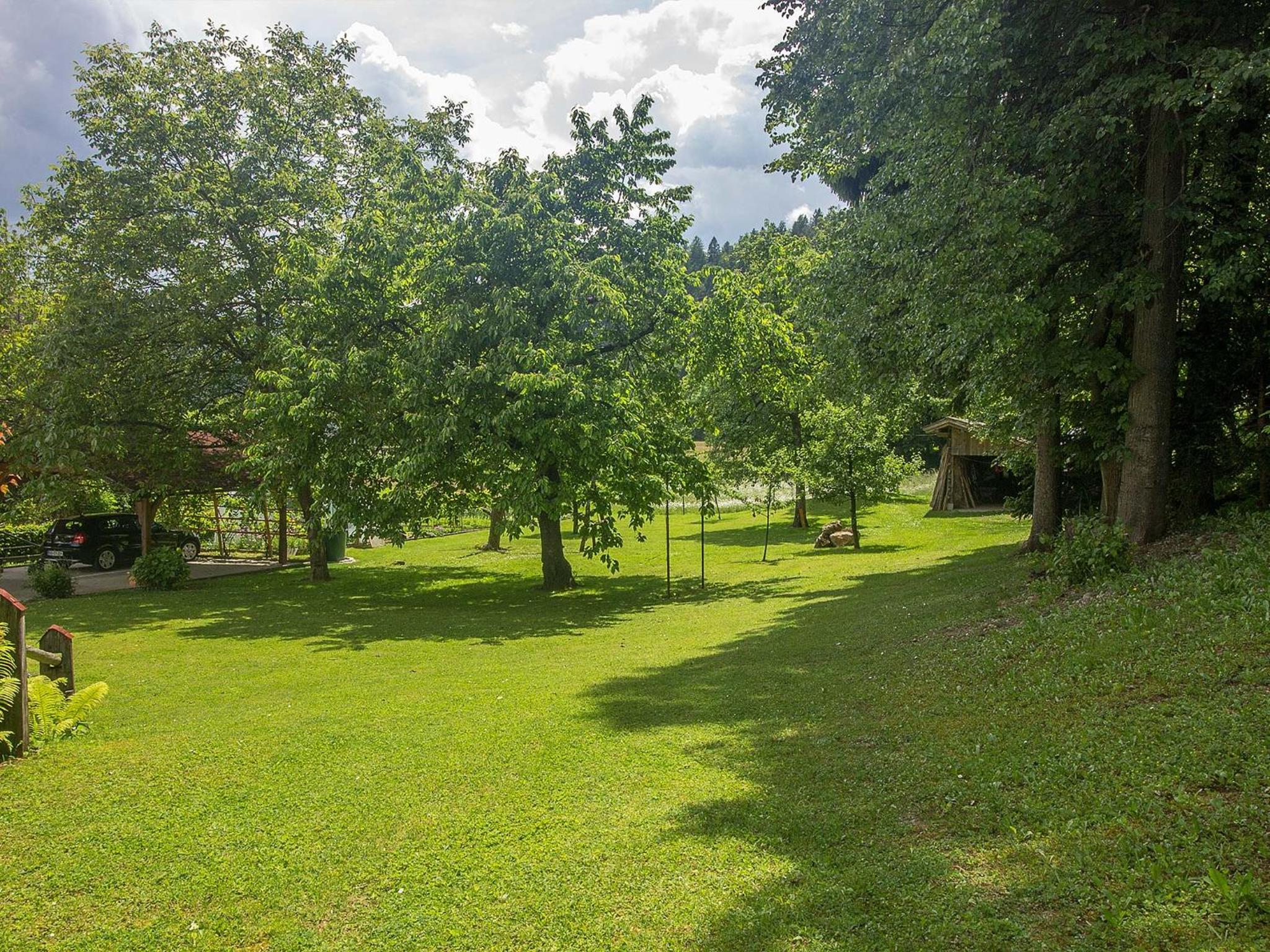 Apartments Mira