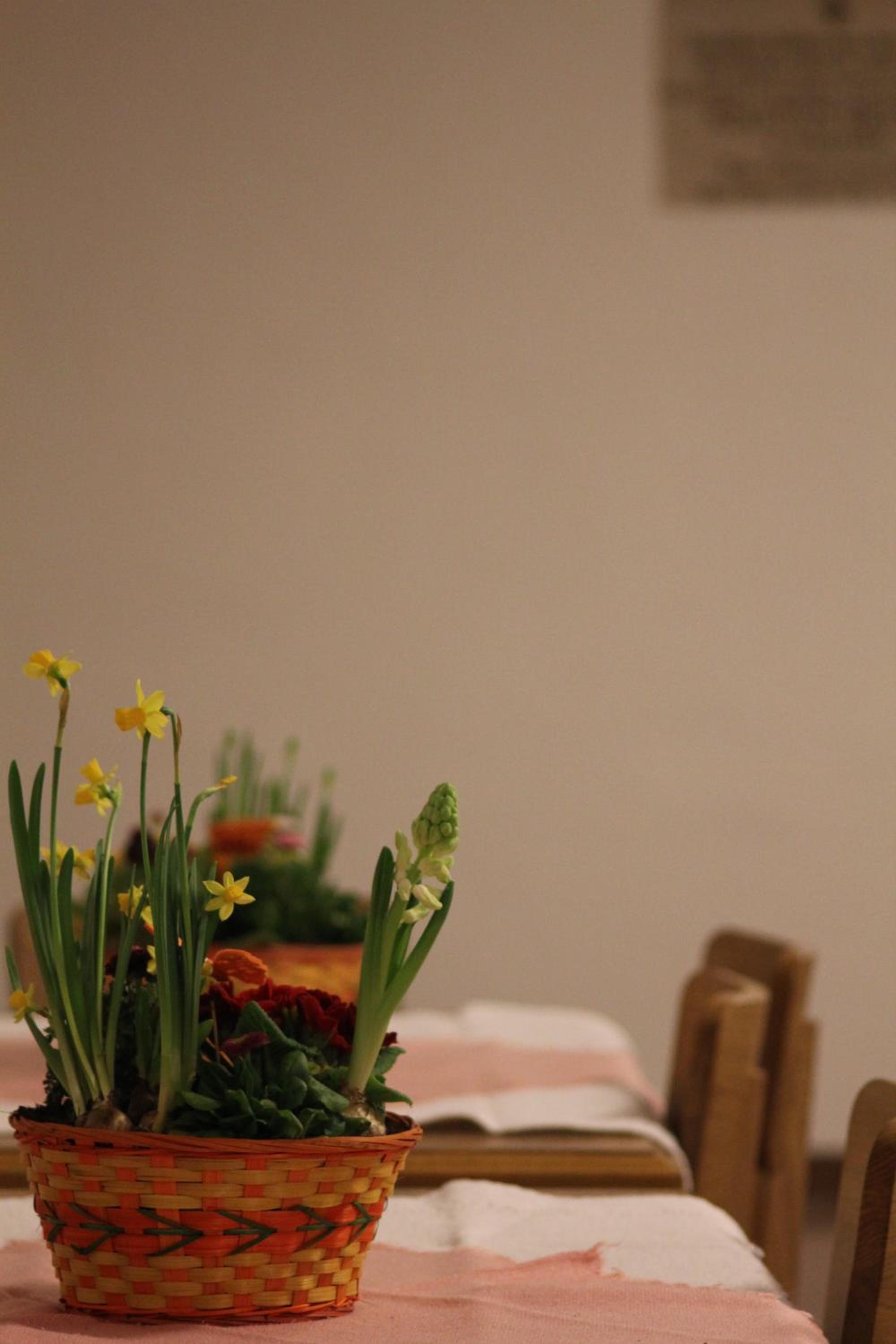 Photo 30