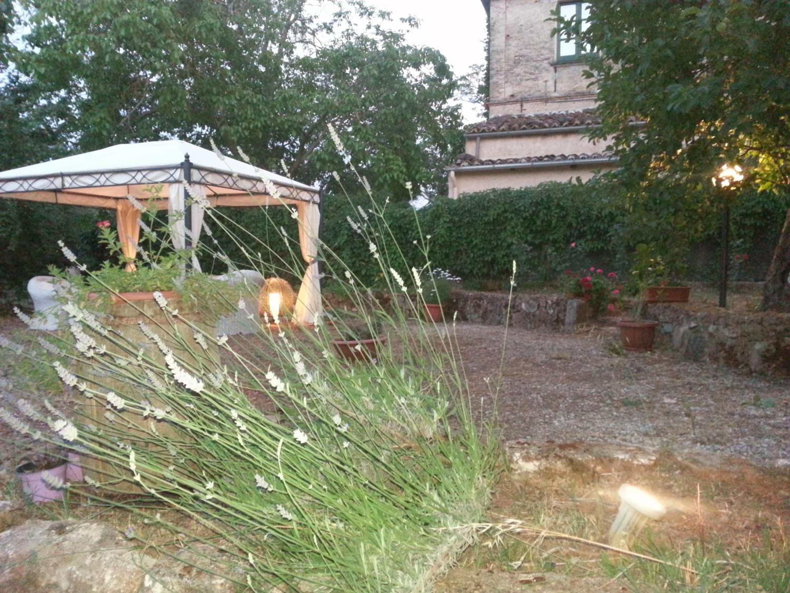 Photo 30