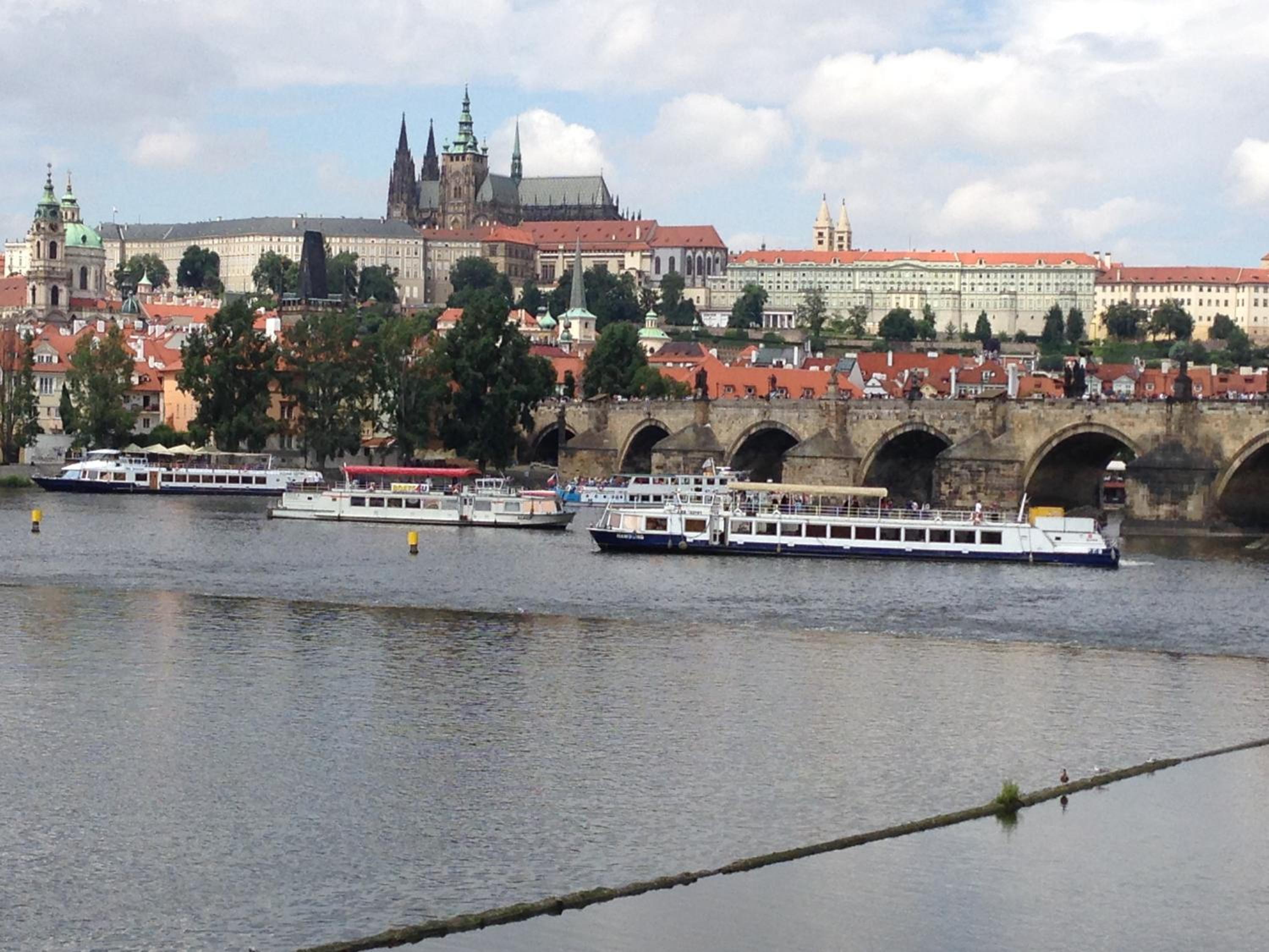 Exclusive apartment on Zborovska