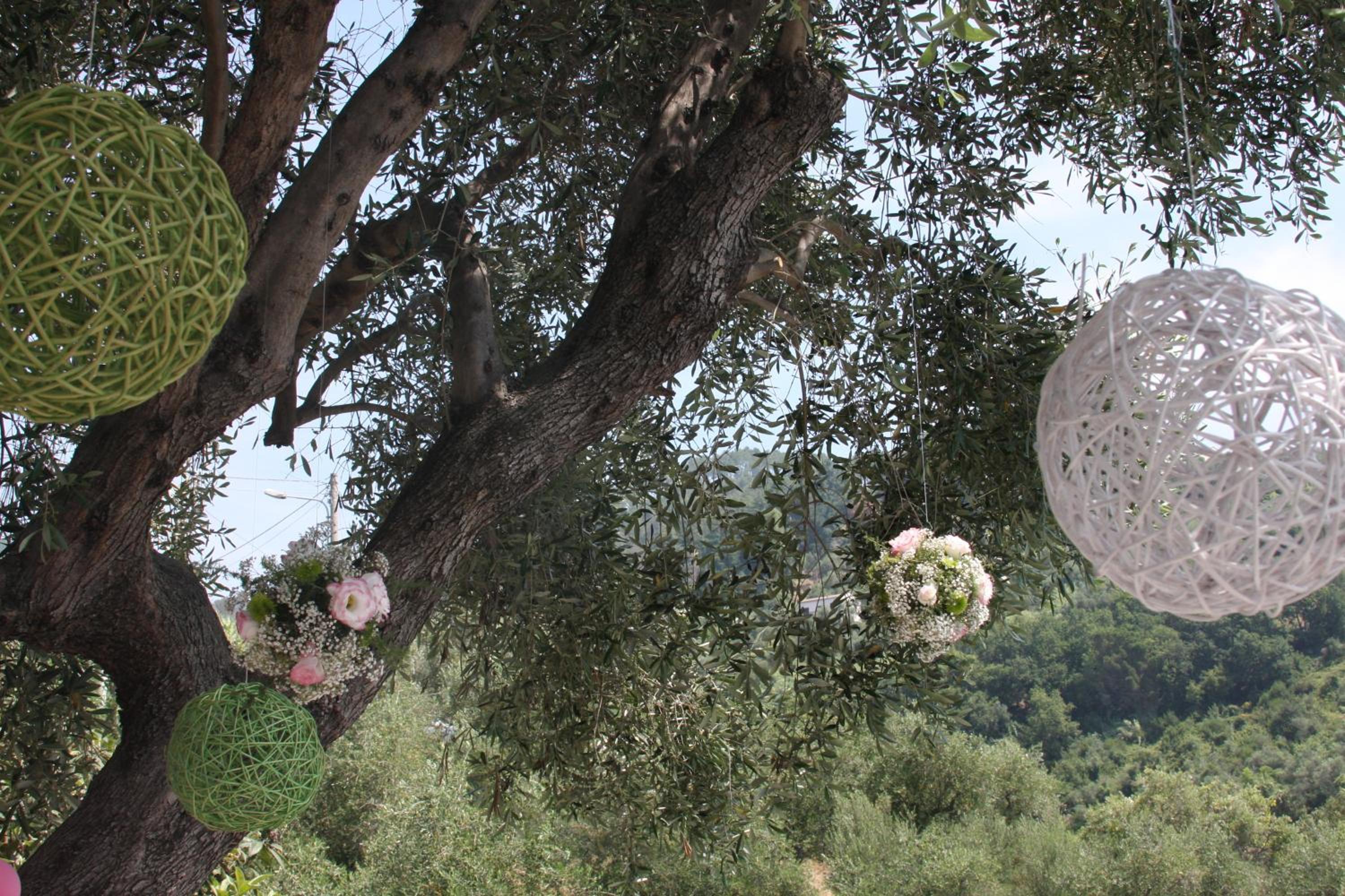B&B Le Giare photo 4