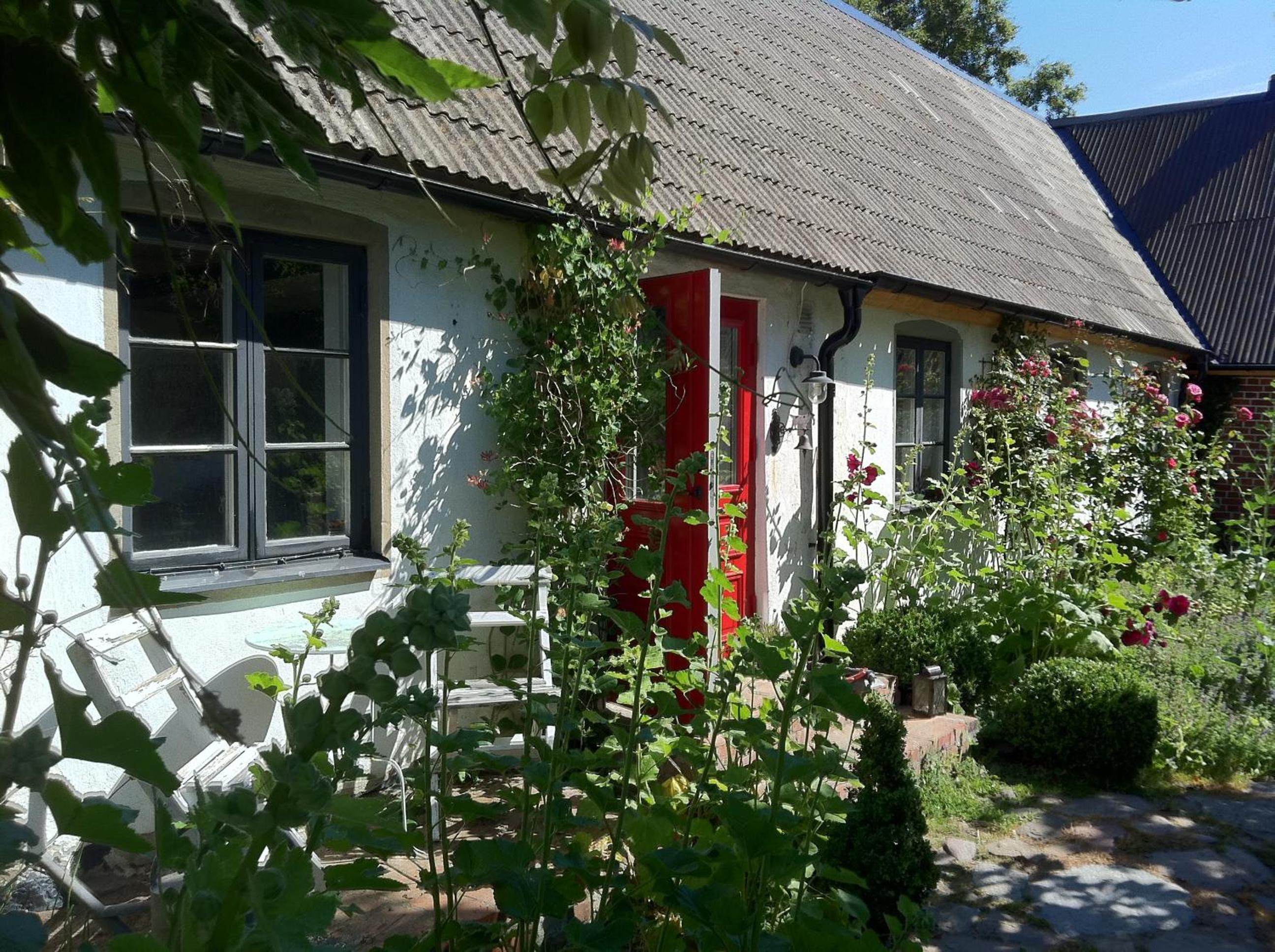 Photo 6