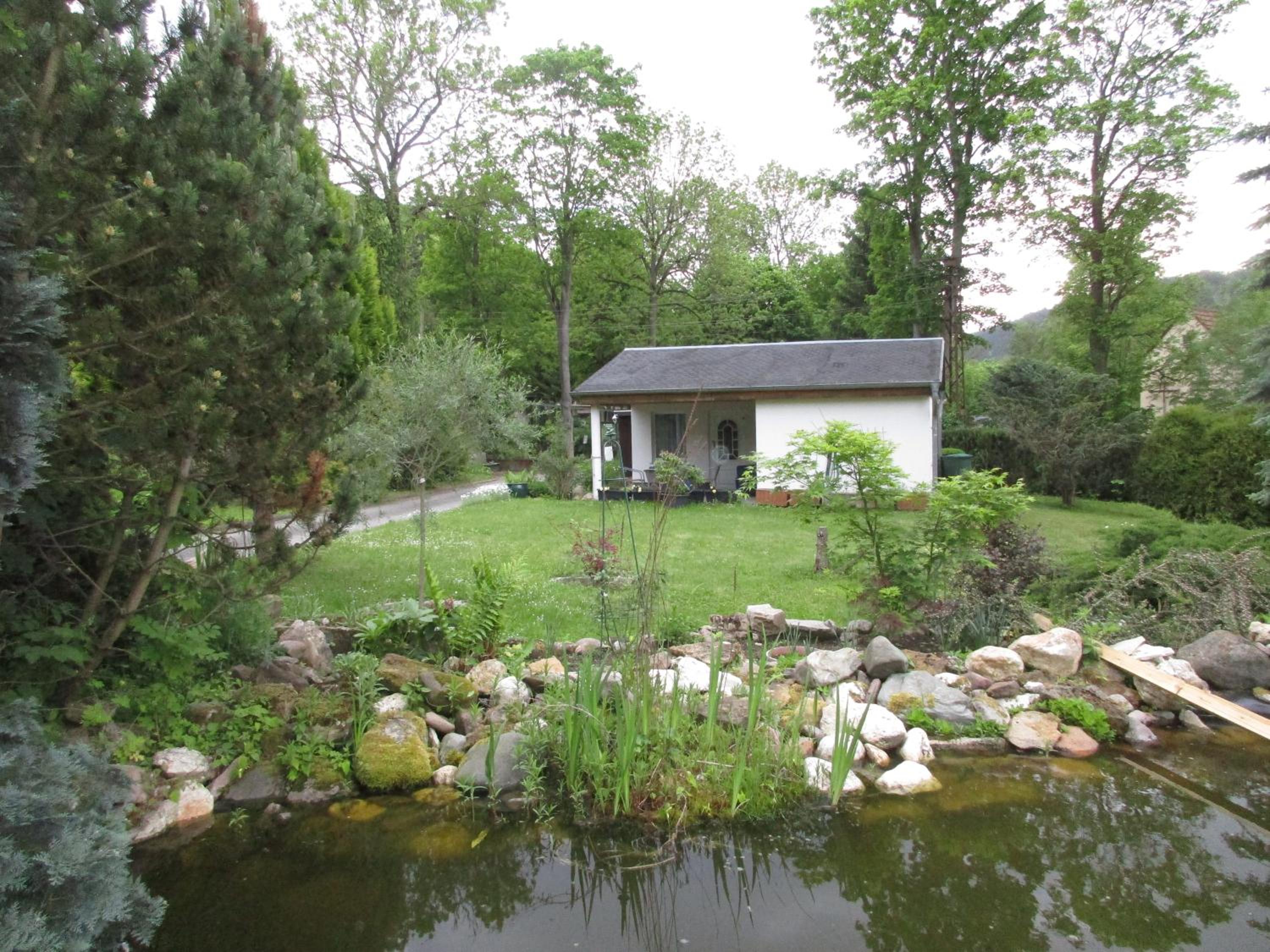 Photo 19