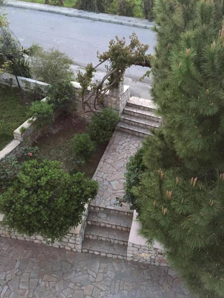 Photo 37
