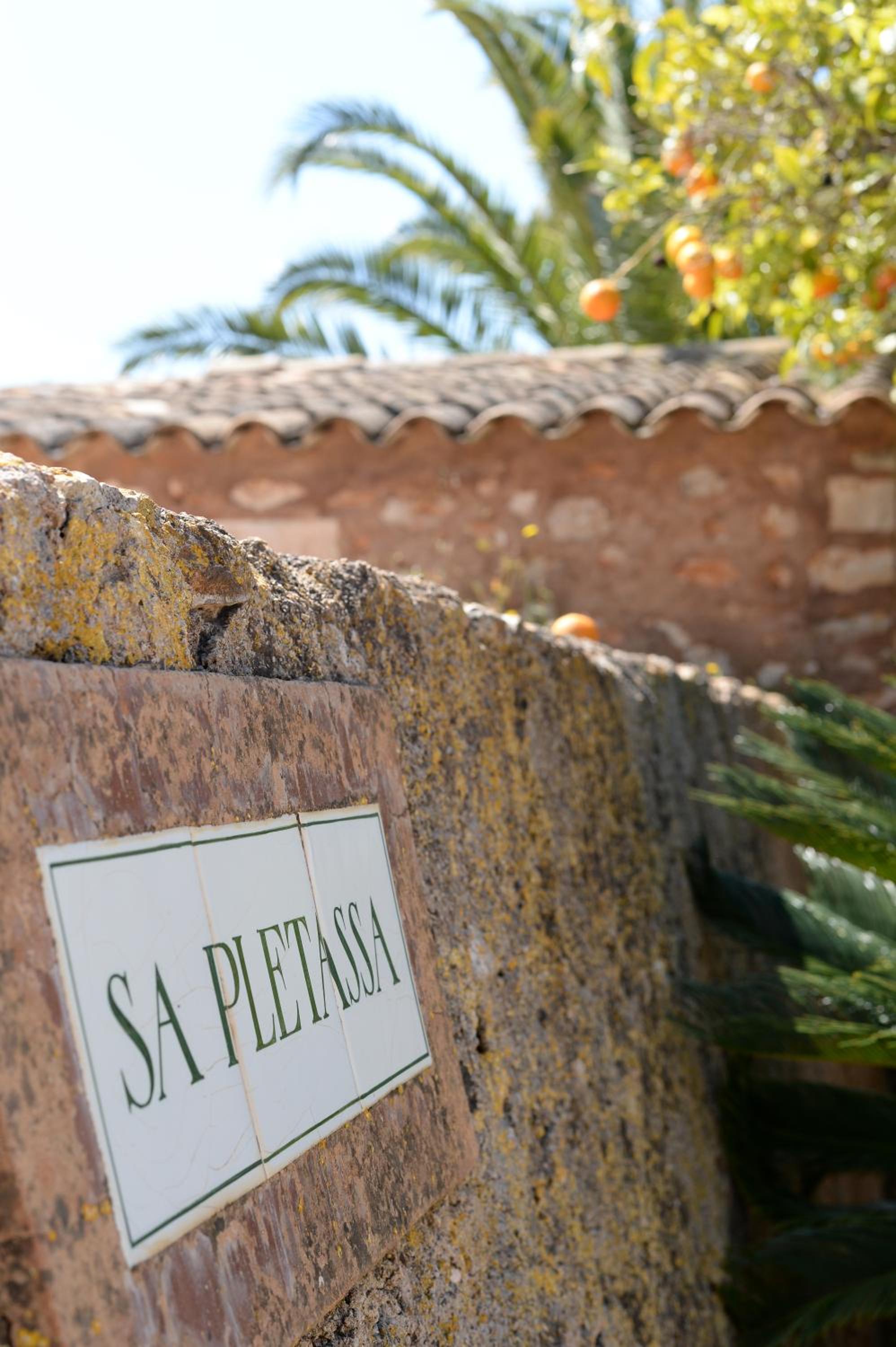 Agroturismo Sa Pletassa view 5