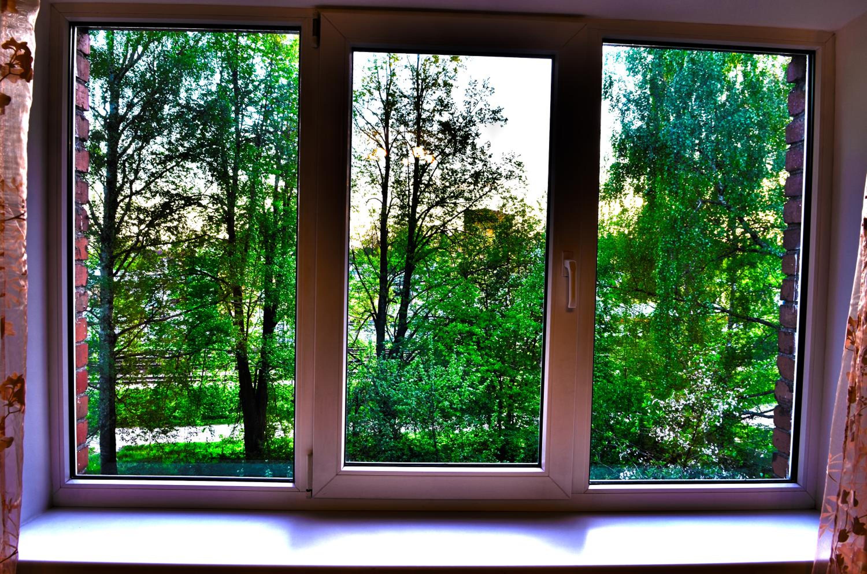 Cat Garden Economy Apartments Riga view 4