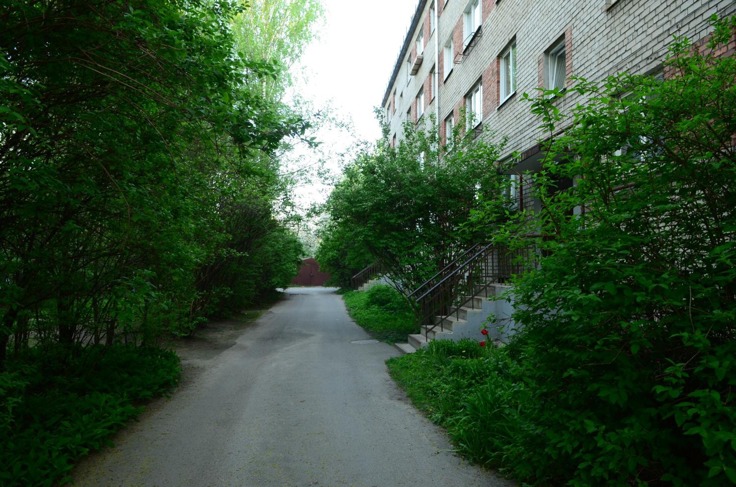 Cat Garden Economy Apartments Riga view 2