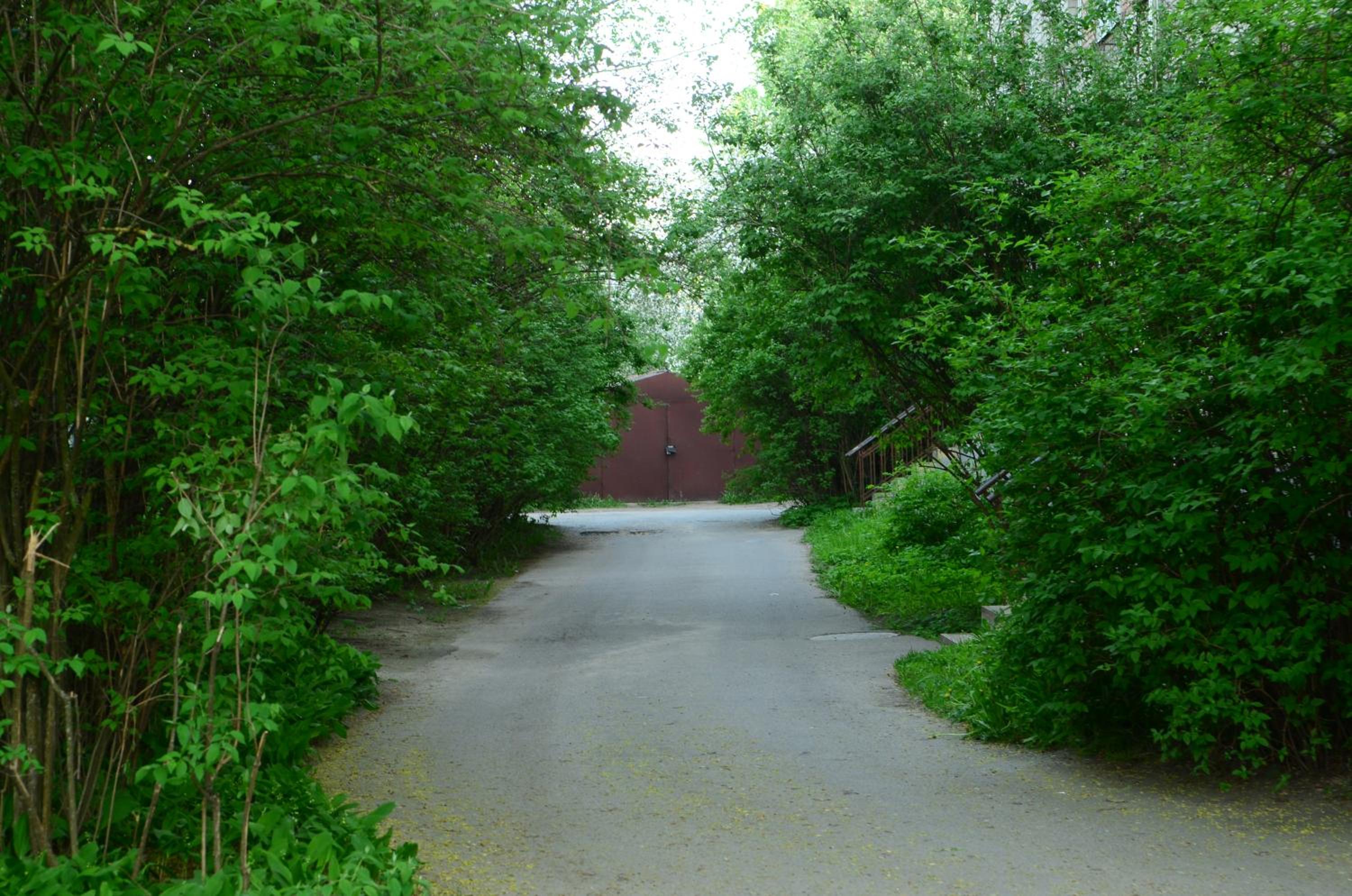 Photo 17