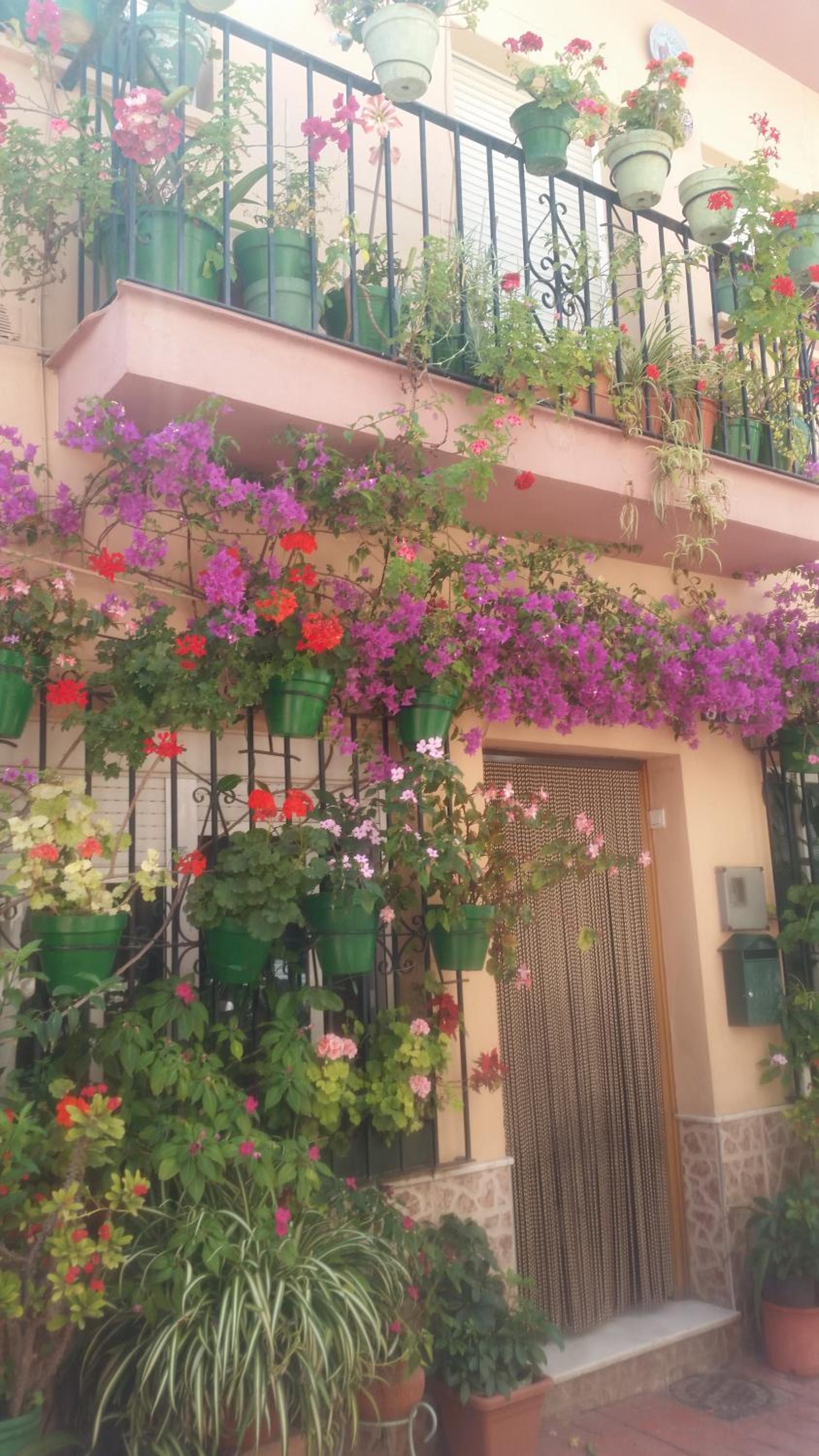 Puerto Deportivo Estepona