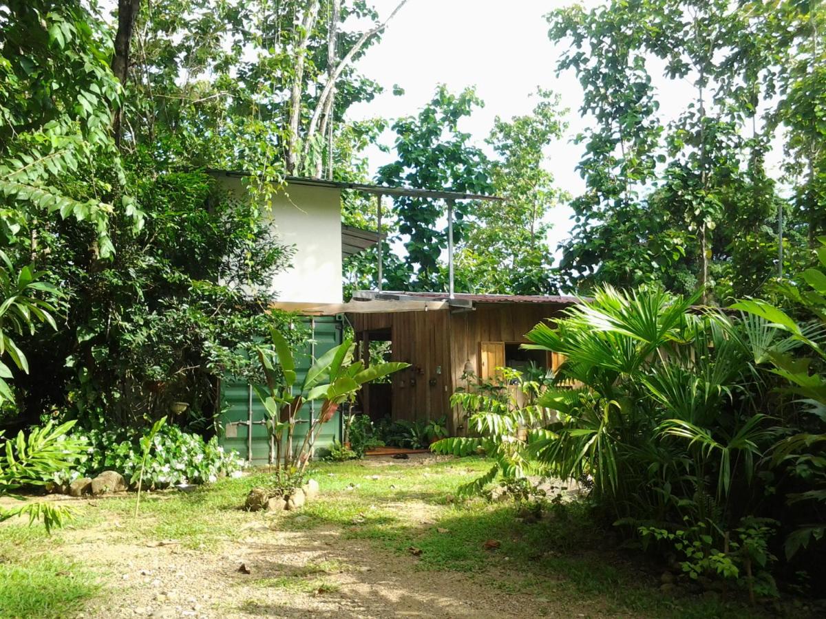 Osa de Rio