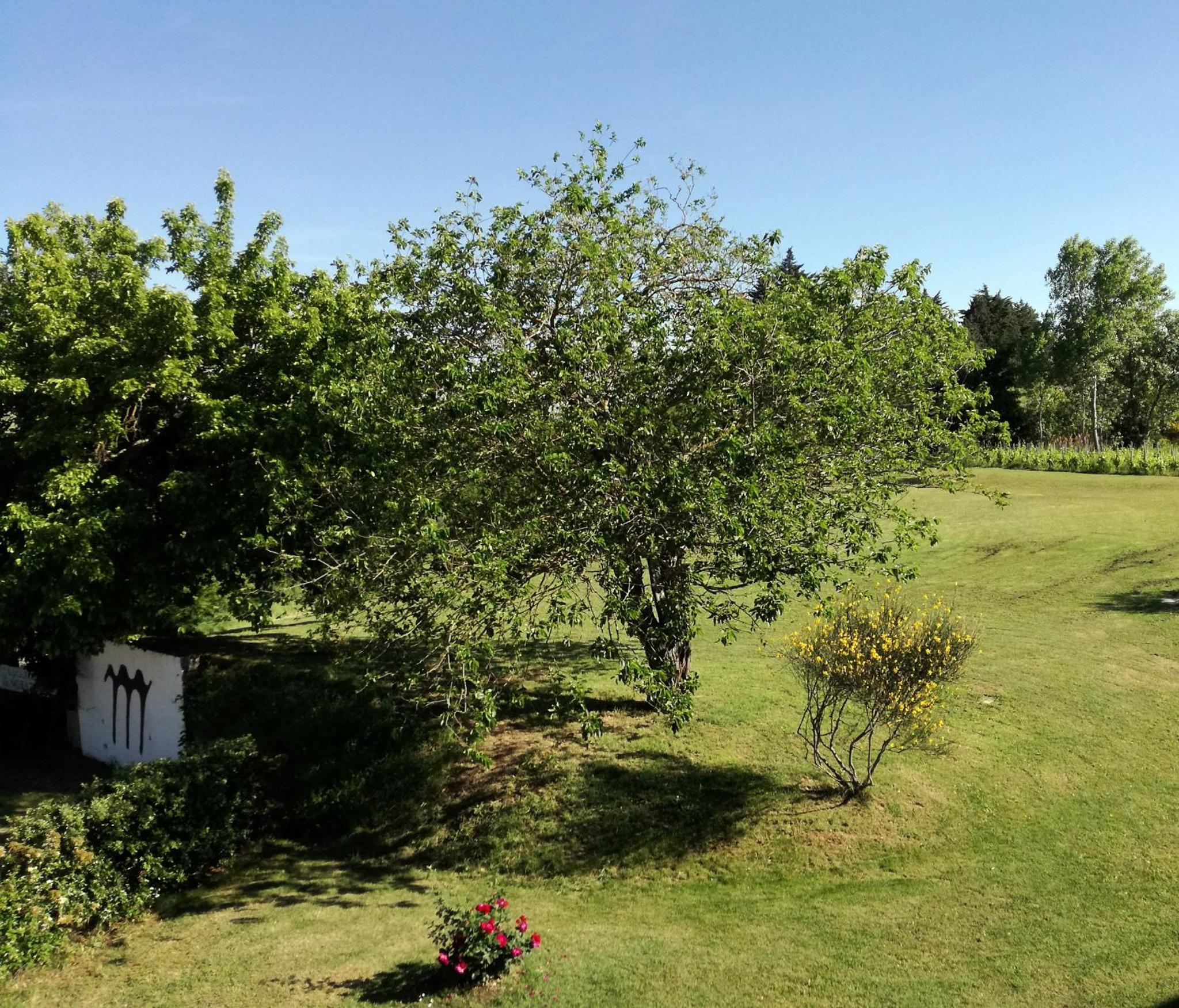 Agriturismo Morattina view 5