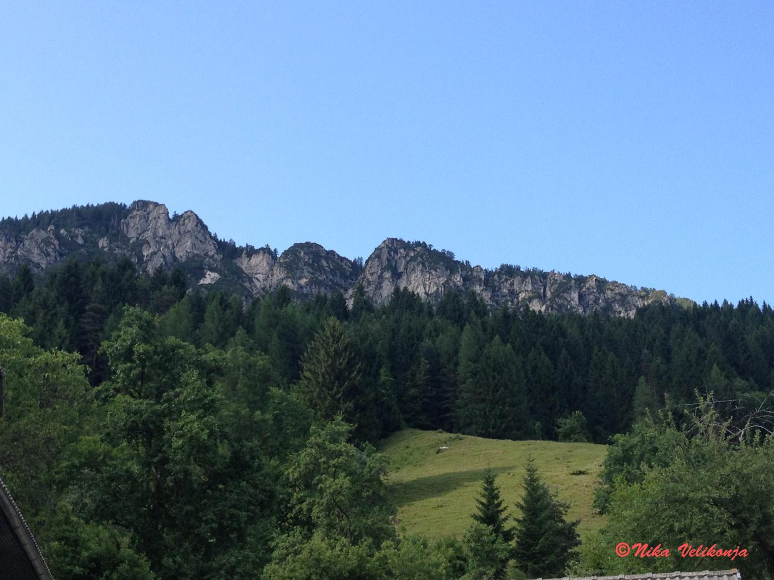 Photo 22