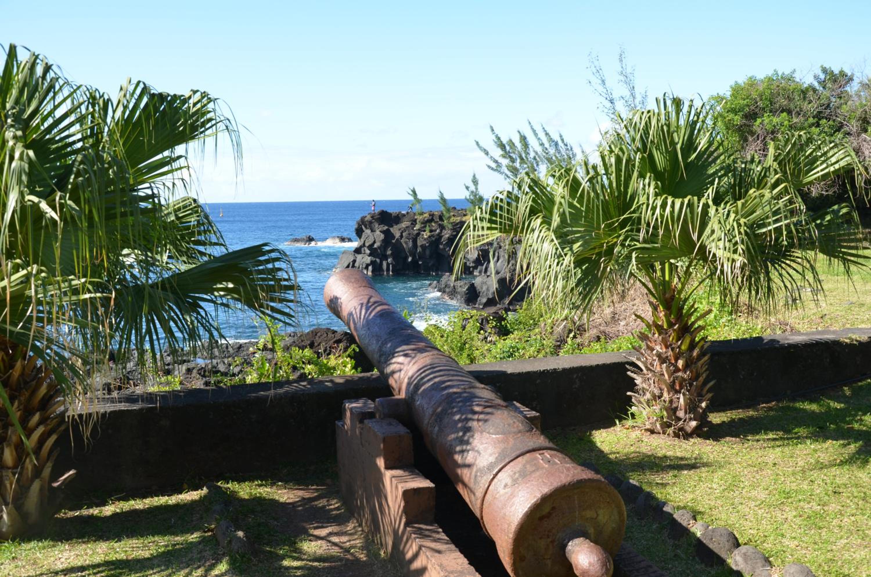 Fleur des iles view 5