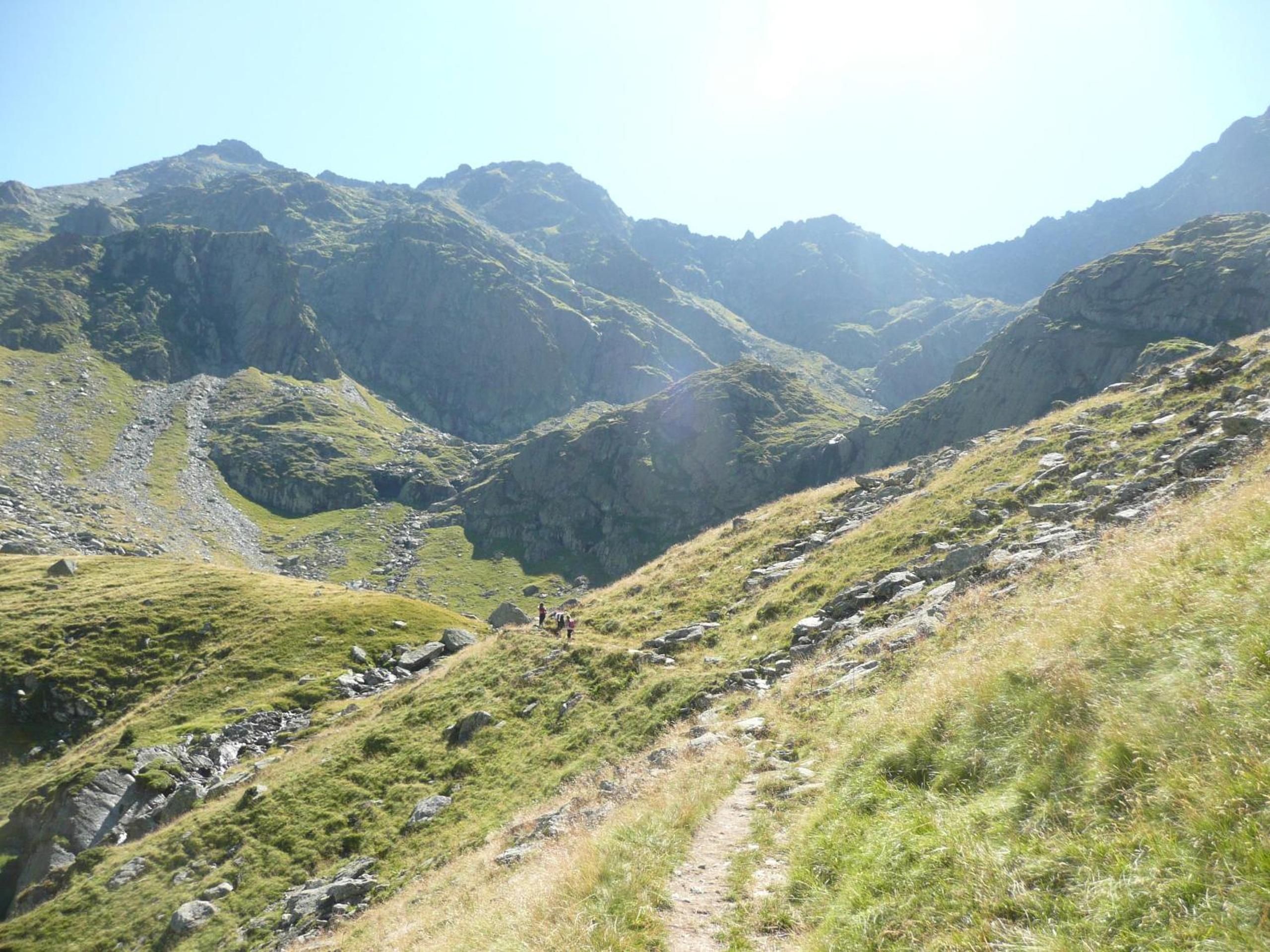 Photo 44