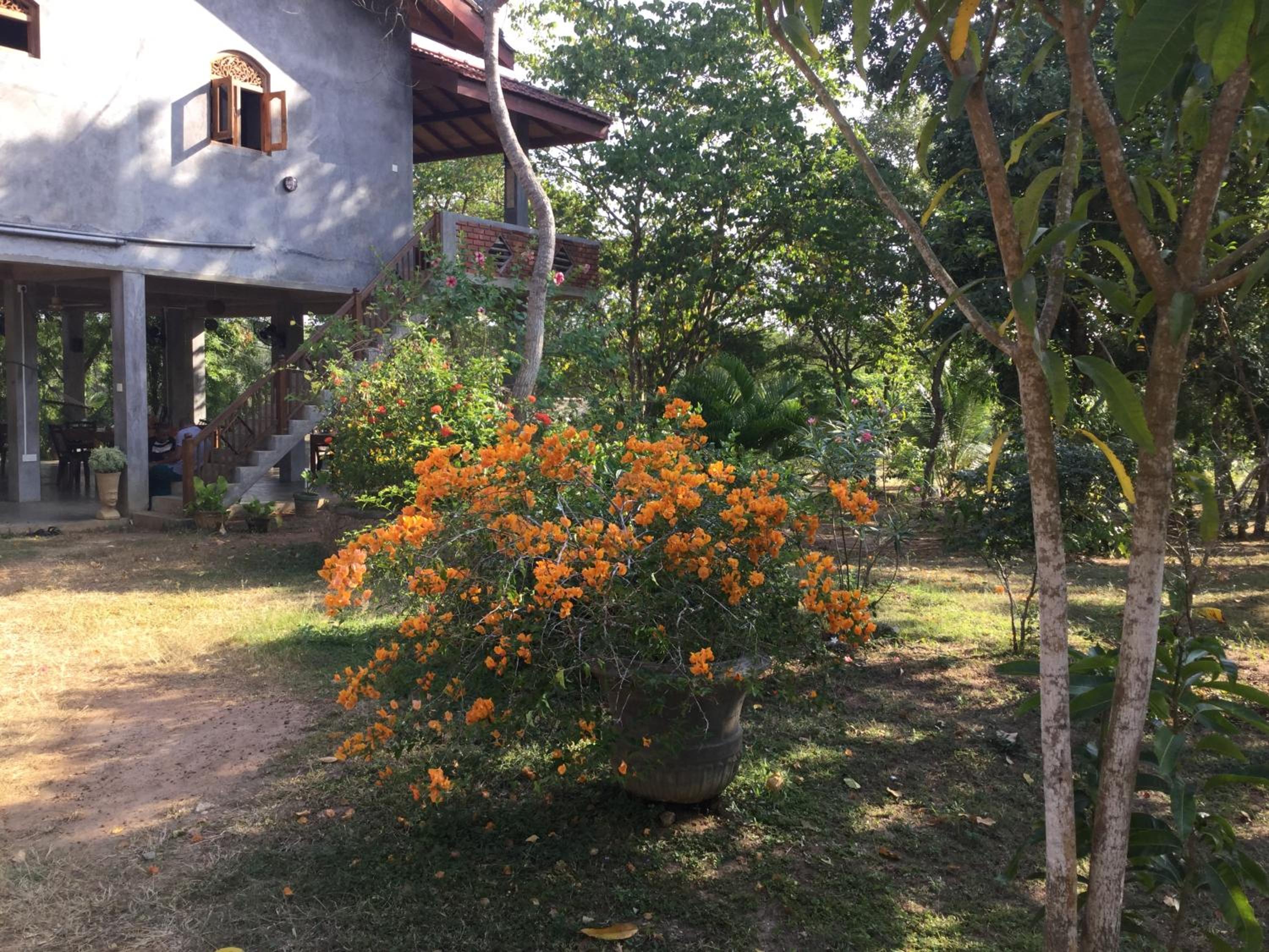 Photo 18
