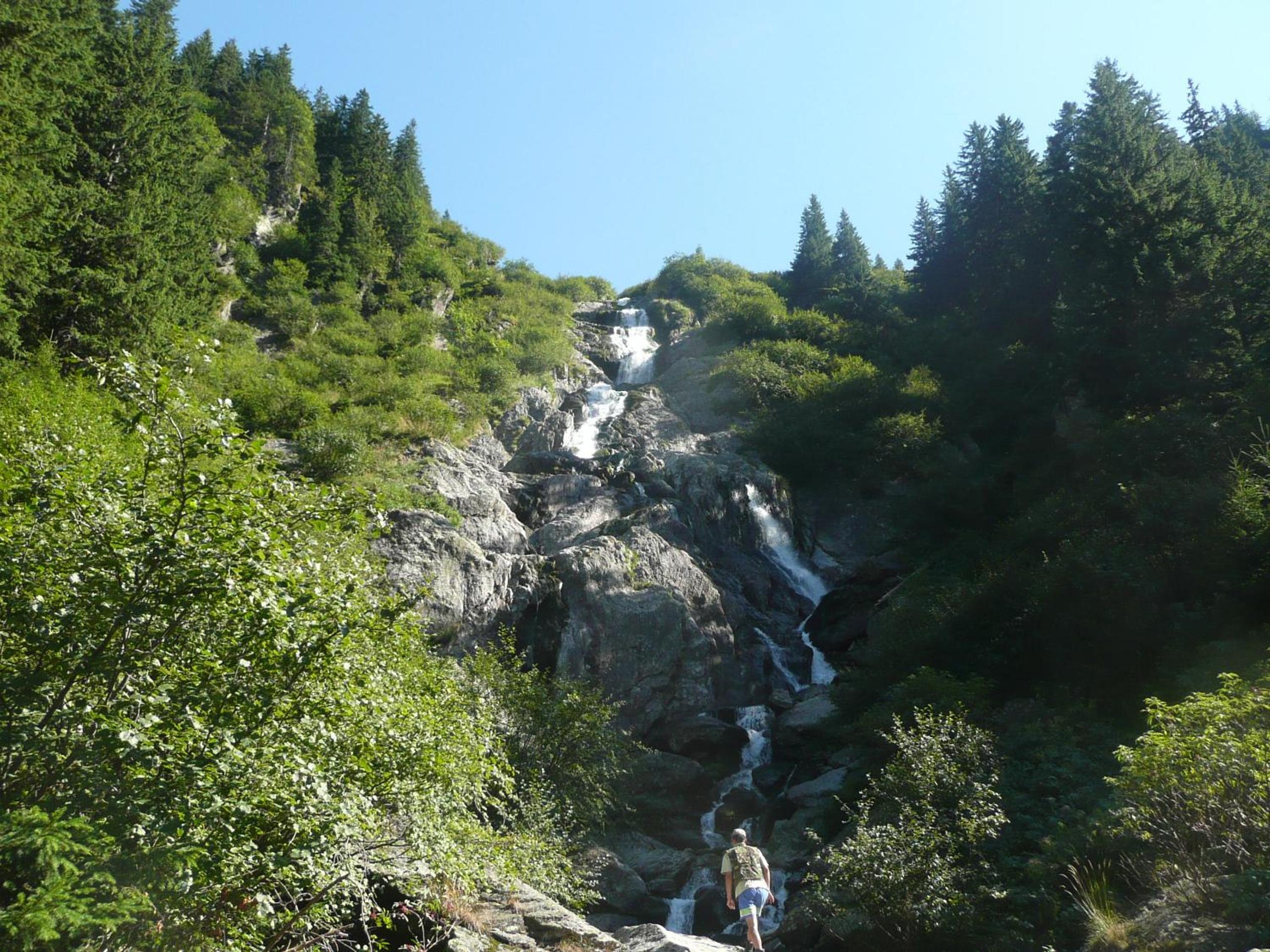 Photo 42