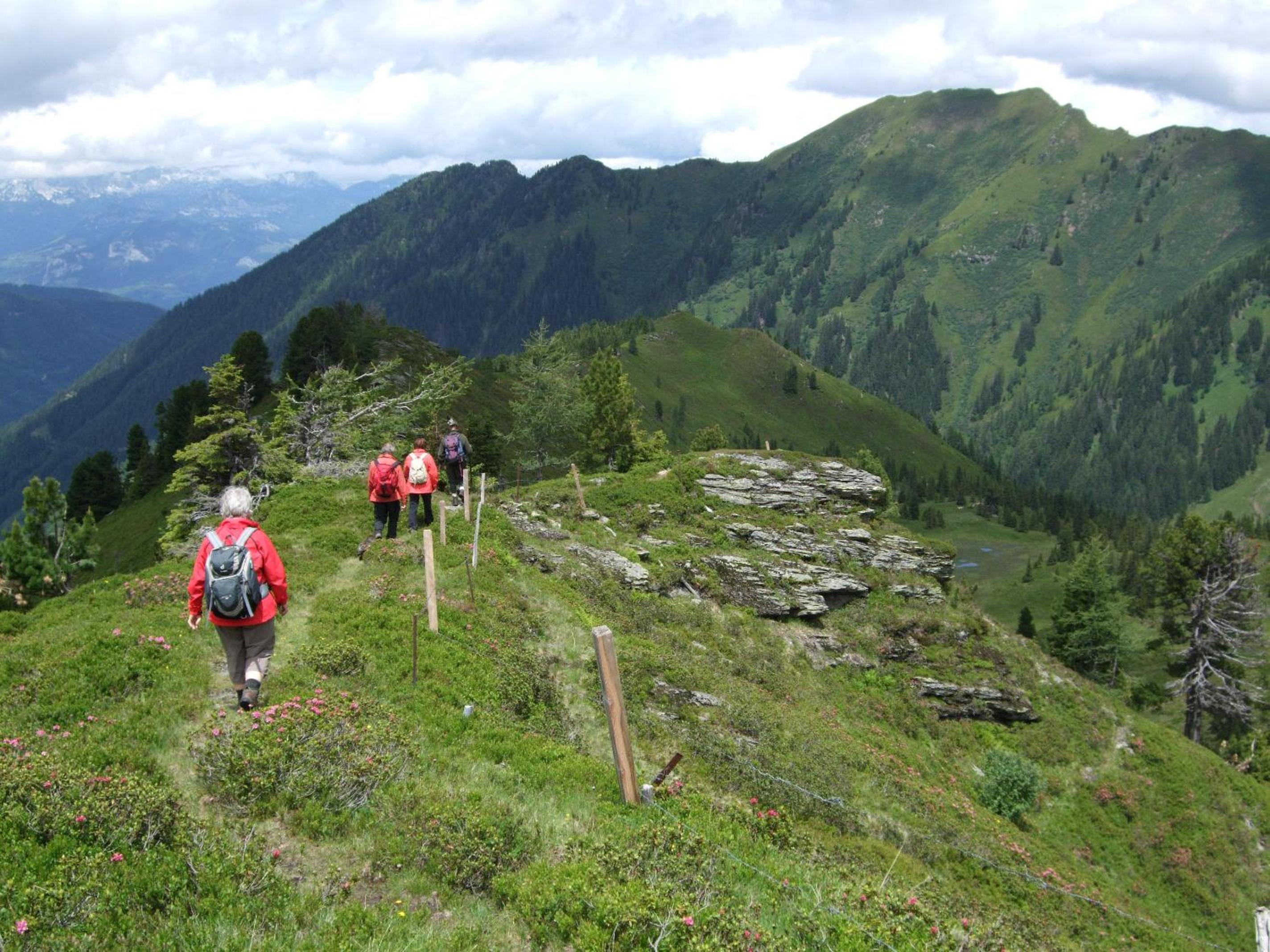 Gasthof zur Gams