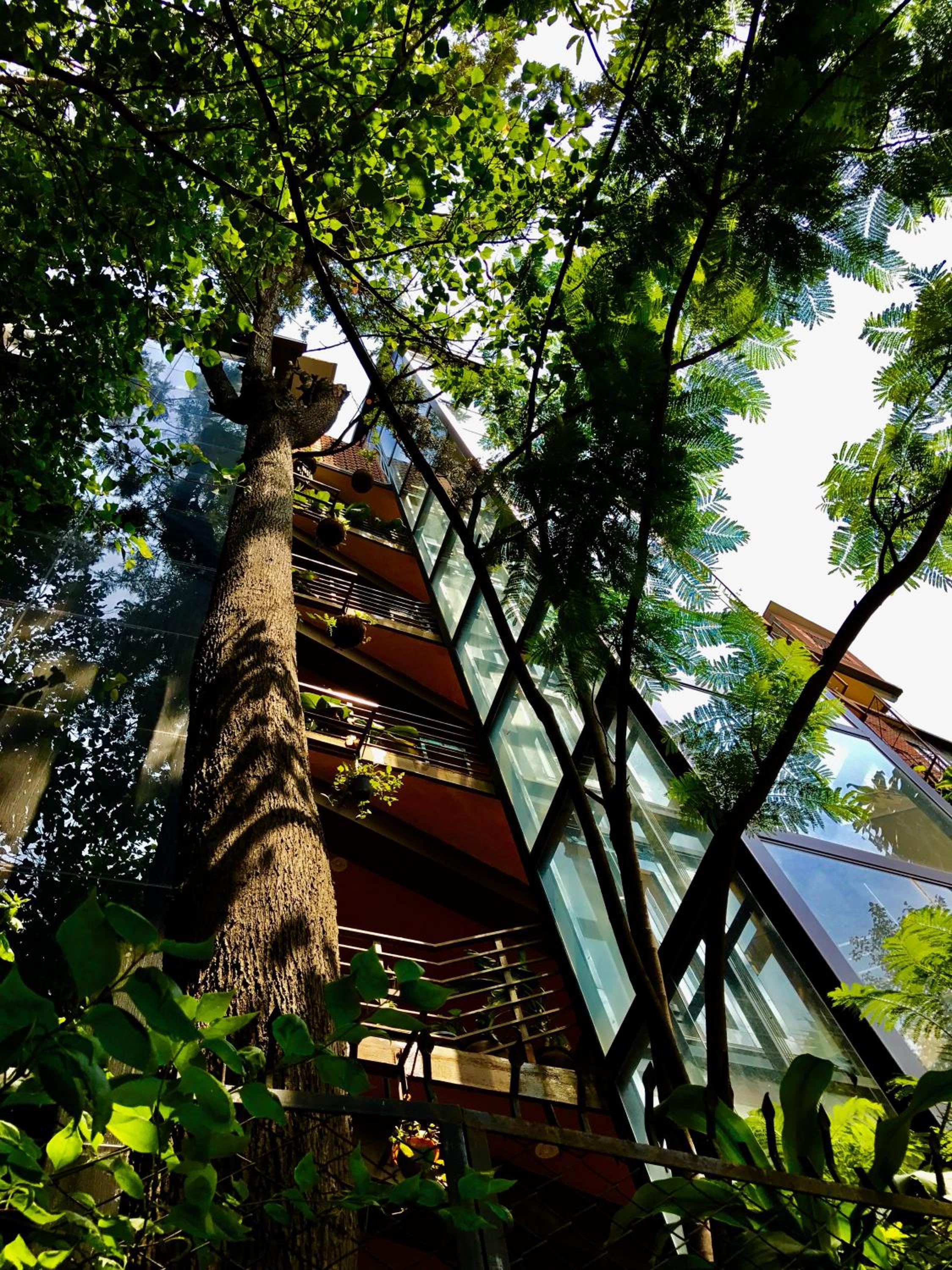 building