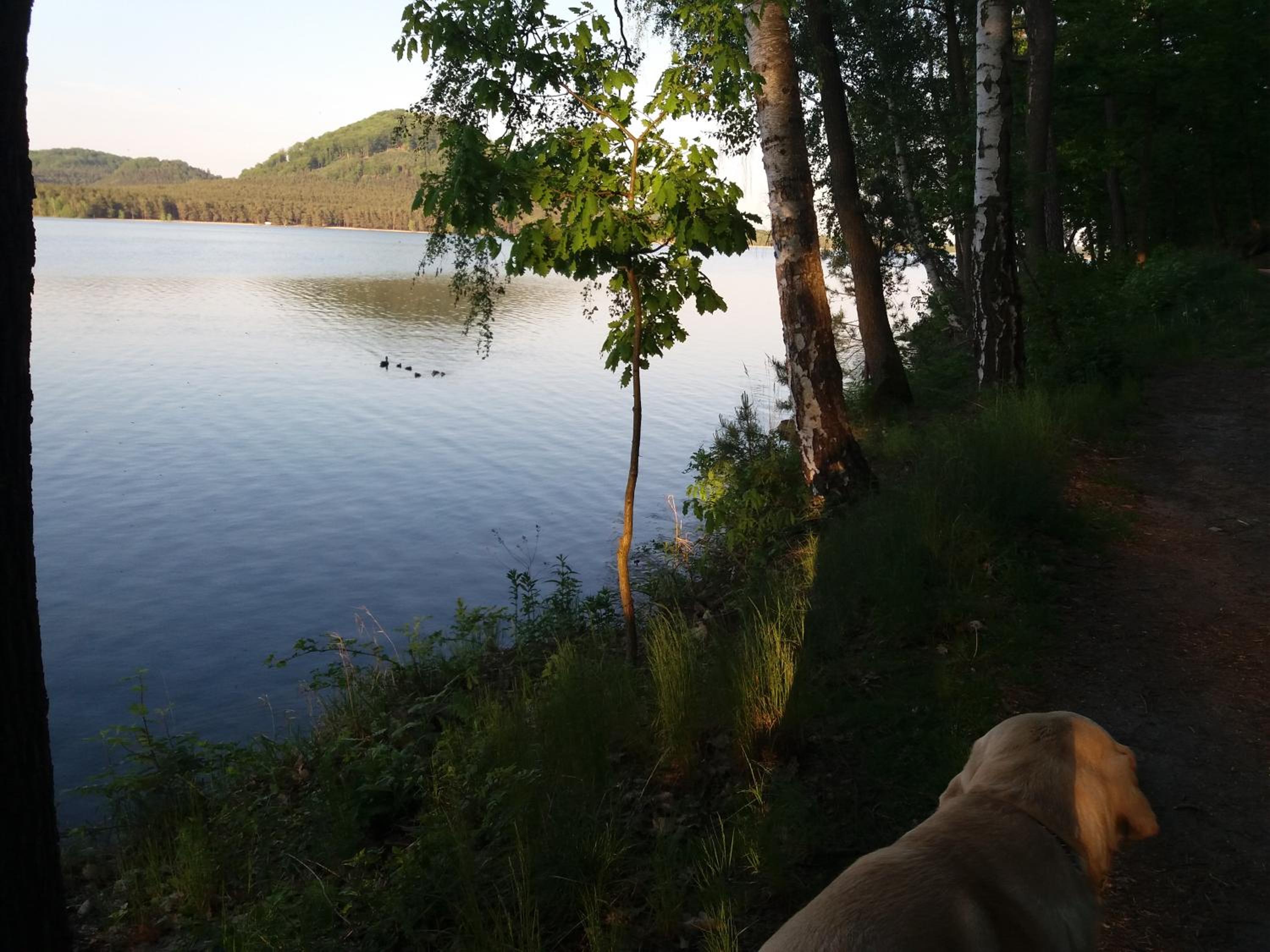 Penzion Diana Máchovo jezero