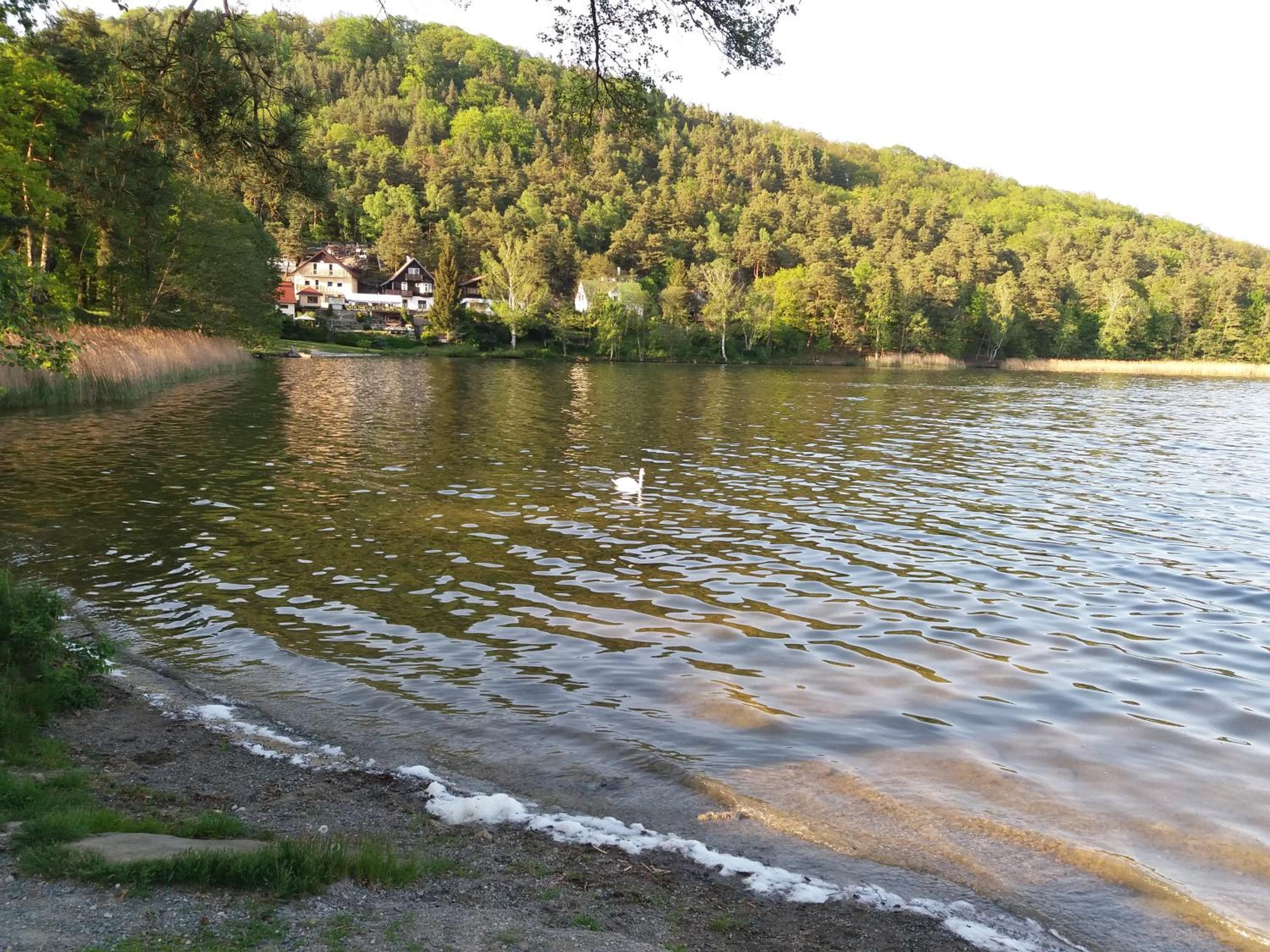 Penzion Diana Máchovo jezero