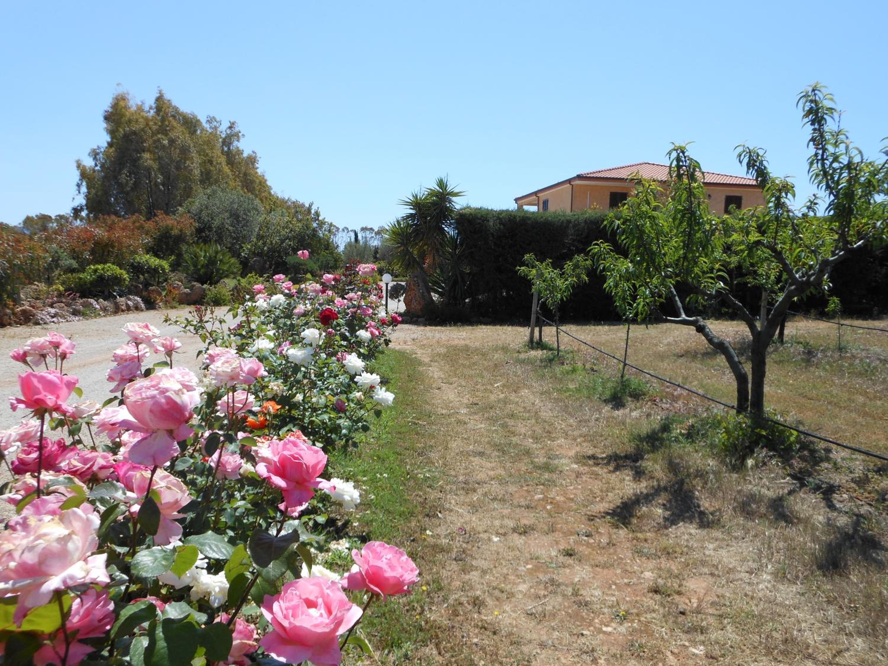 Bed and breakfast Le Camelie view 5