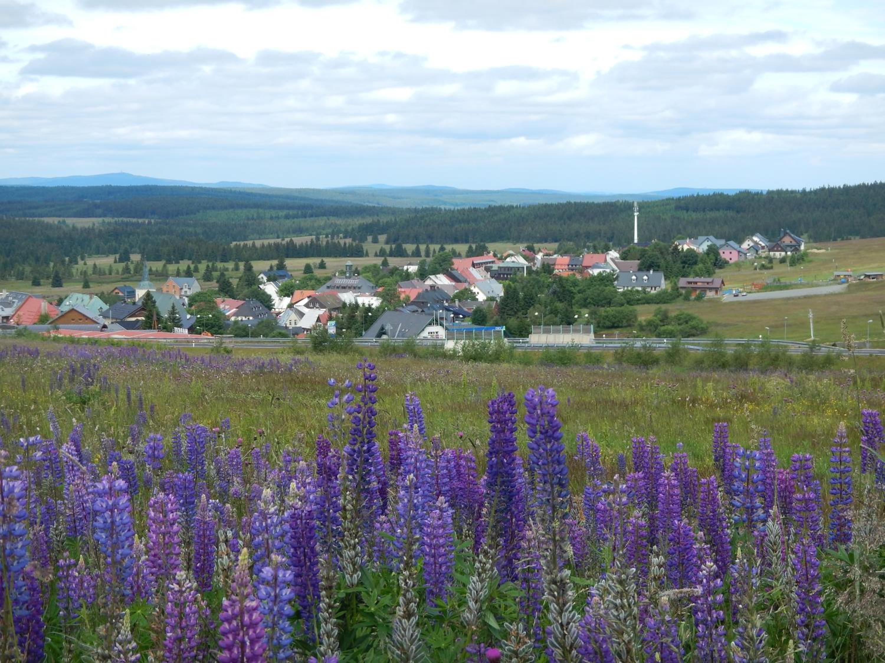 Photo 37
