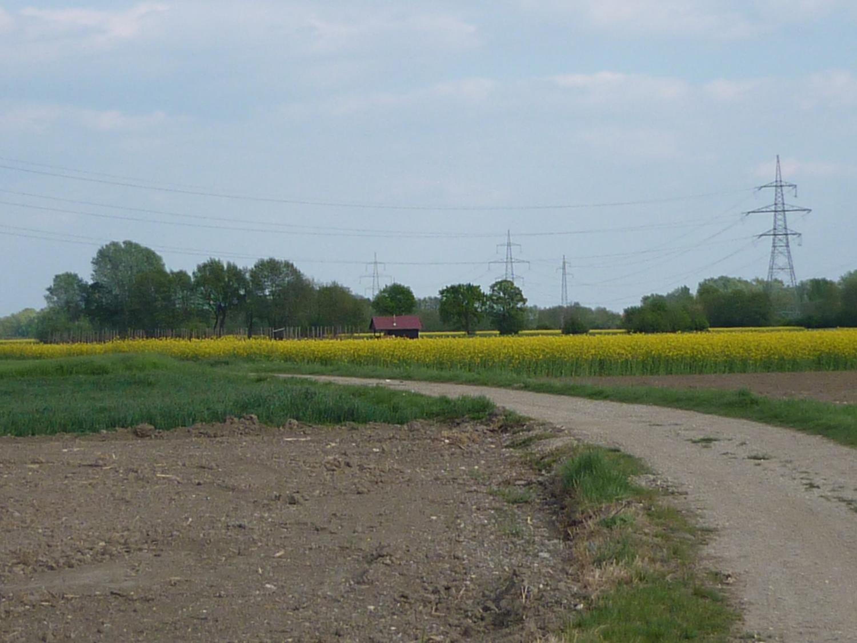 Photo 51