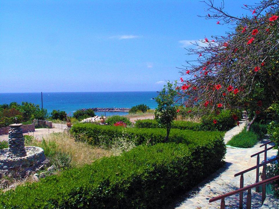 Zorbas Rooms view 4