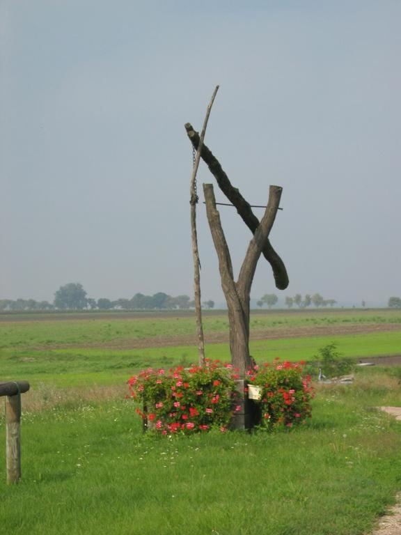 Die Pension Reeh