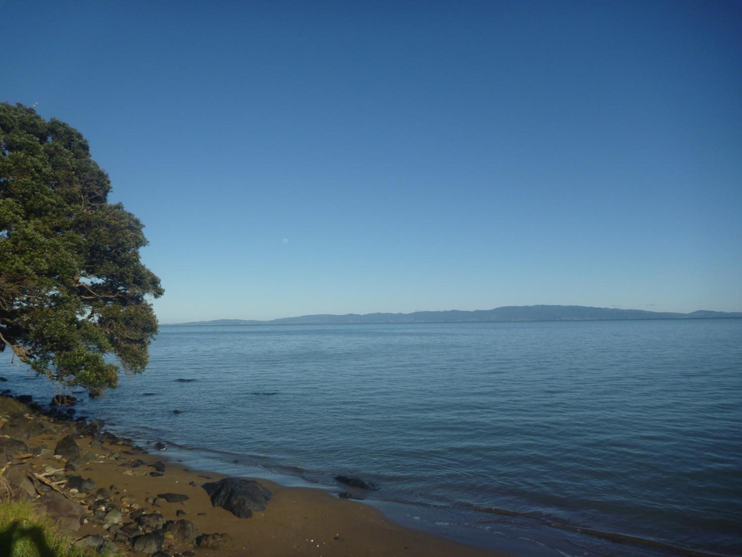 Pohutukawa Coast BnB