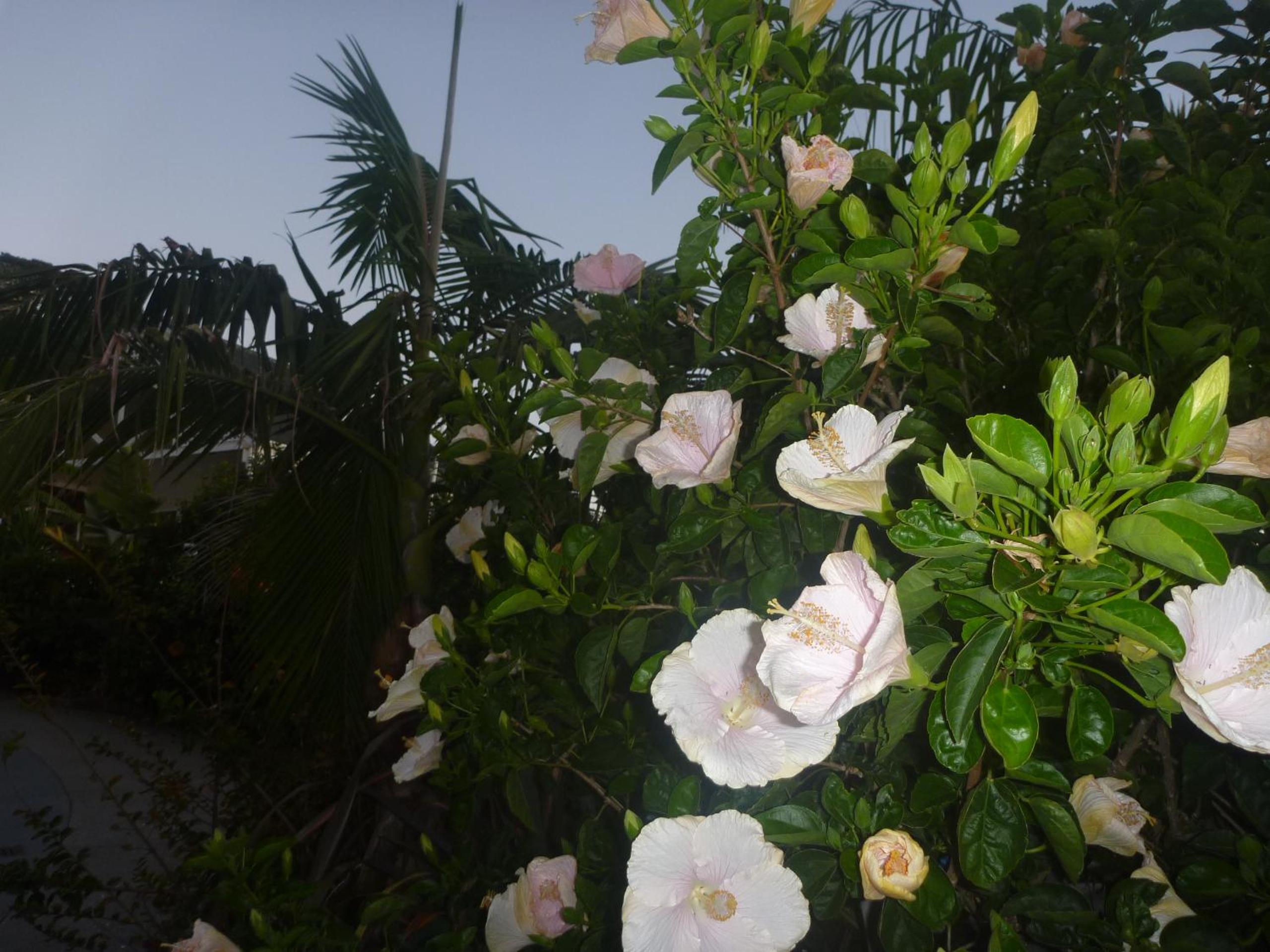 Pohutukawa Coast BnB