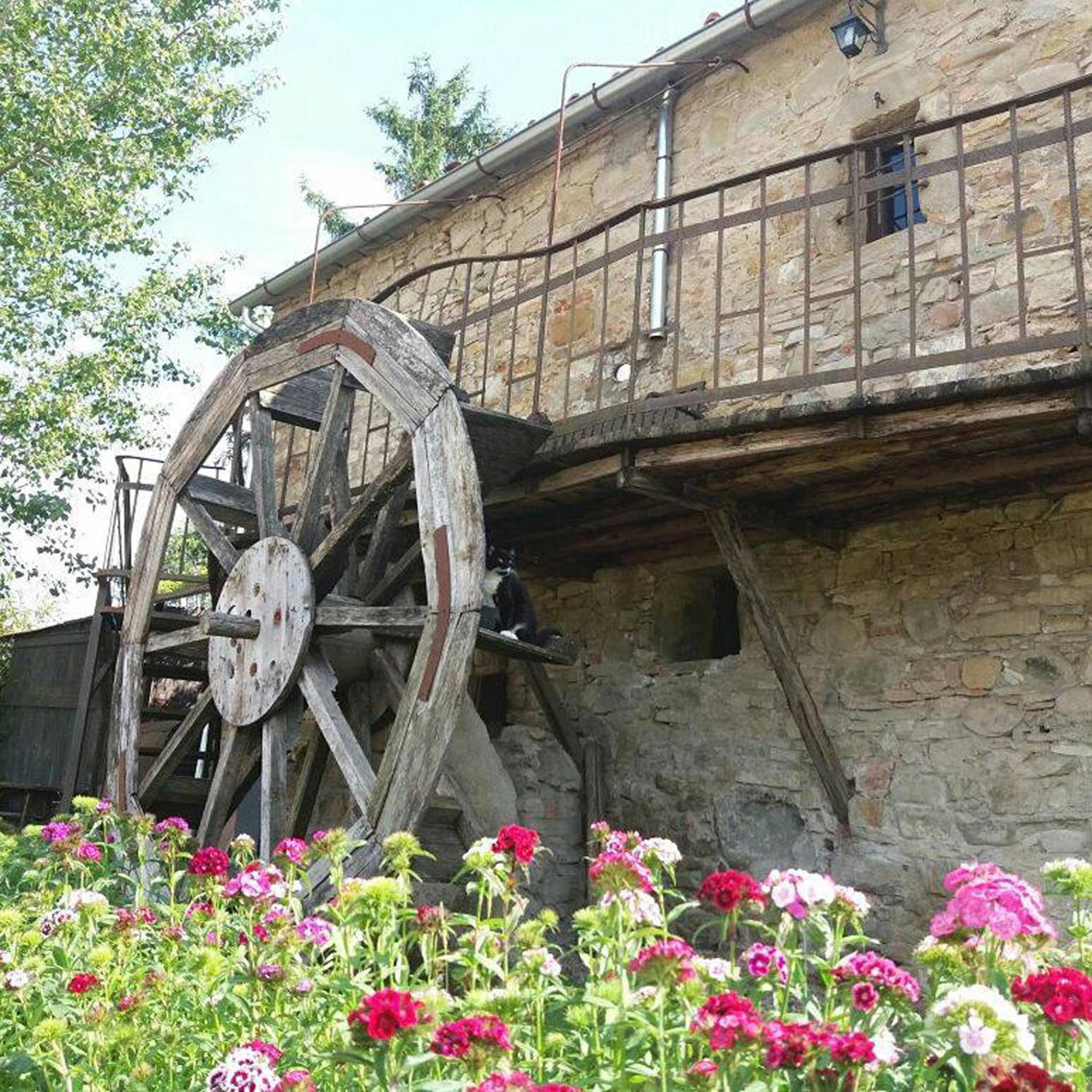 Podere Casina Rossa
