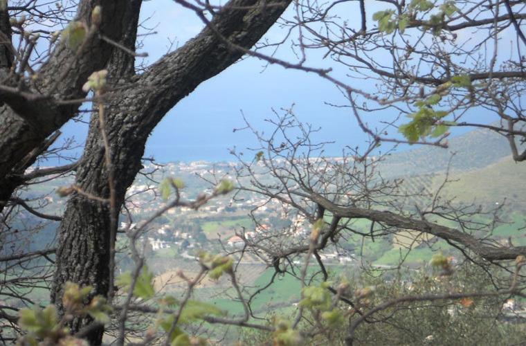 Casale Il Gheppio view 5