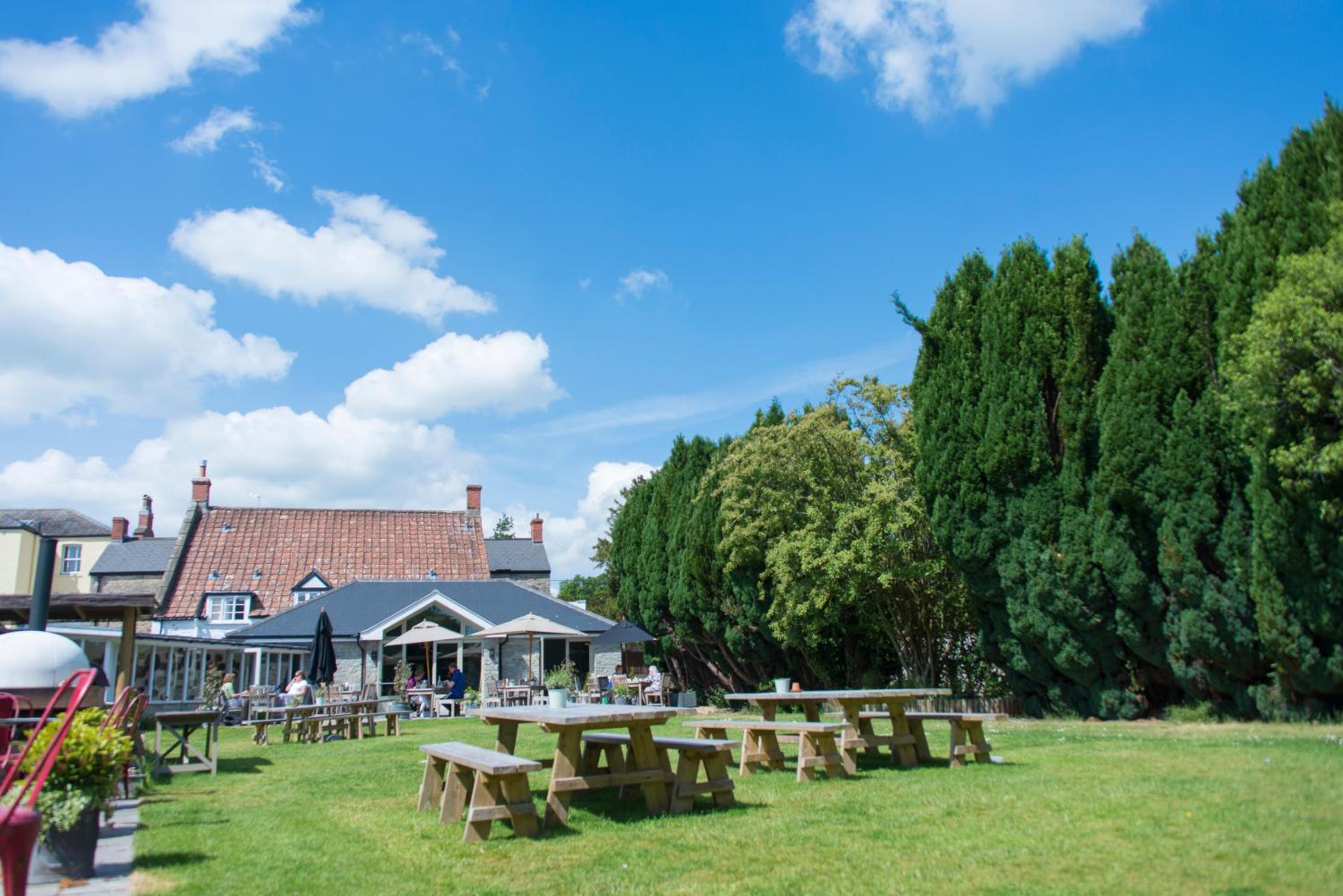 The Swan