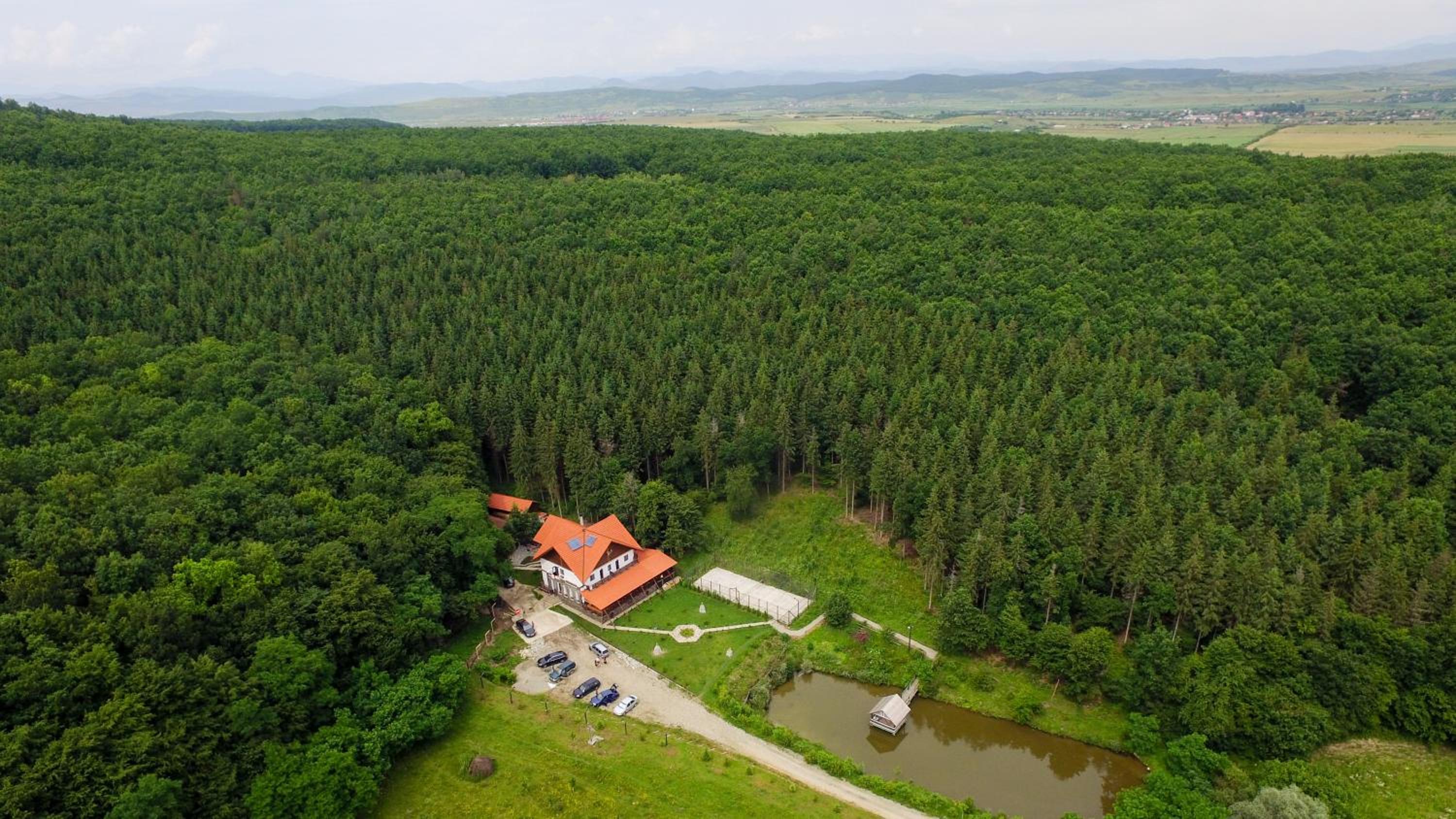 Paradisul Verde