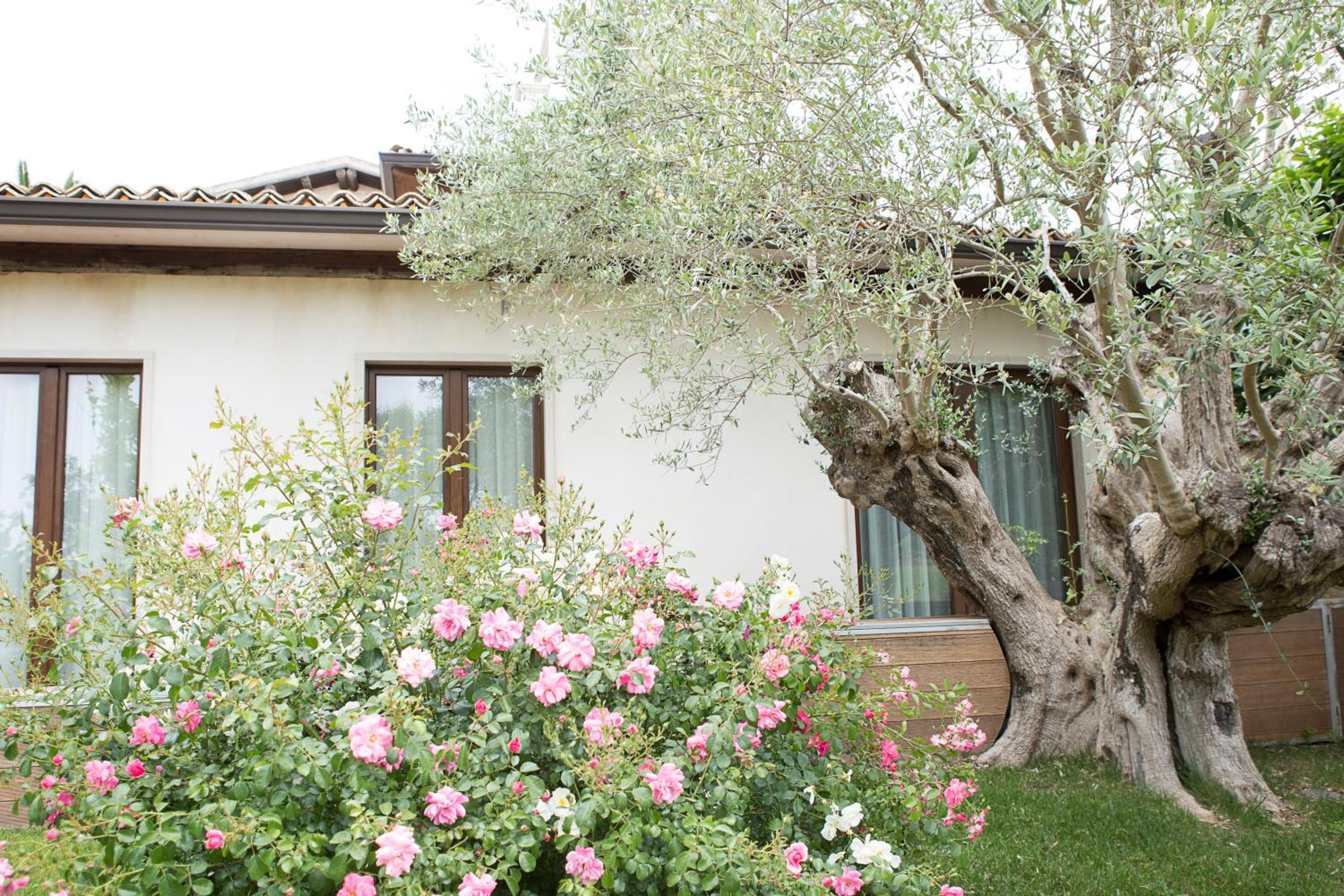 Agriturismo Il Granaio Hotel & SPA