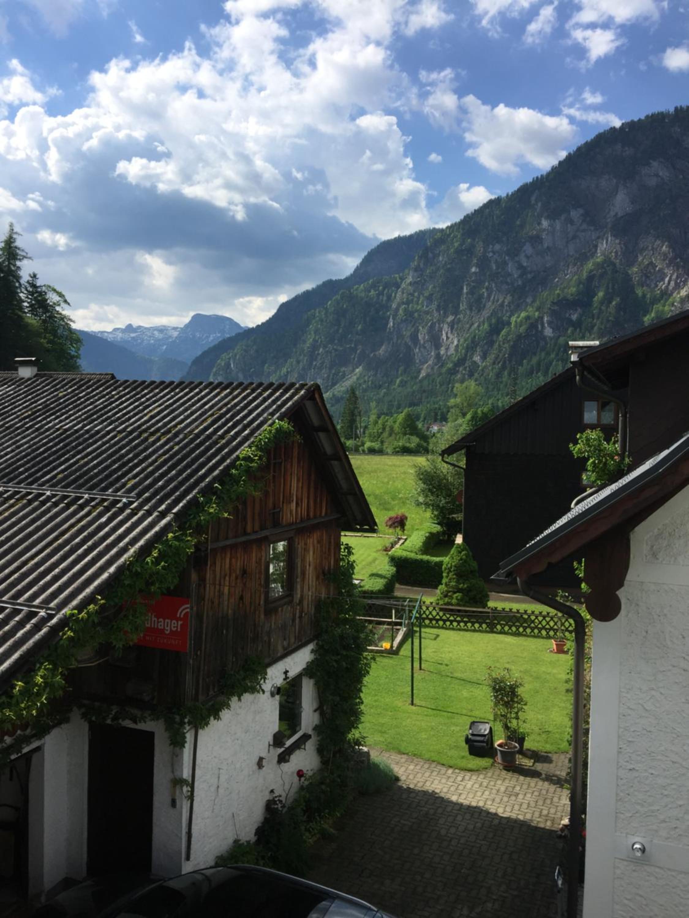 Metzgerwirt Vieh Heli