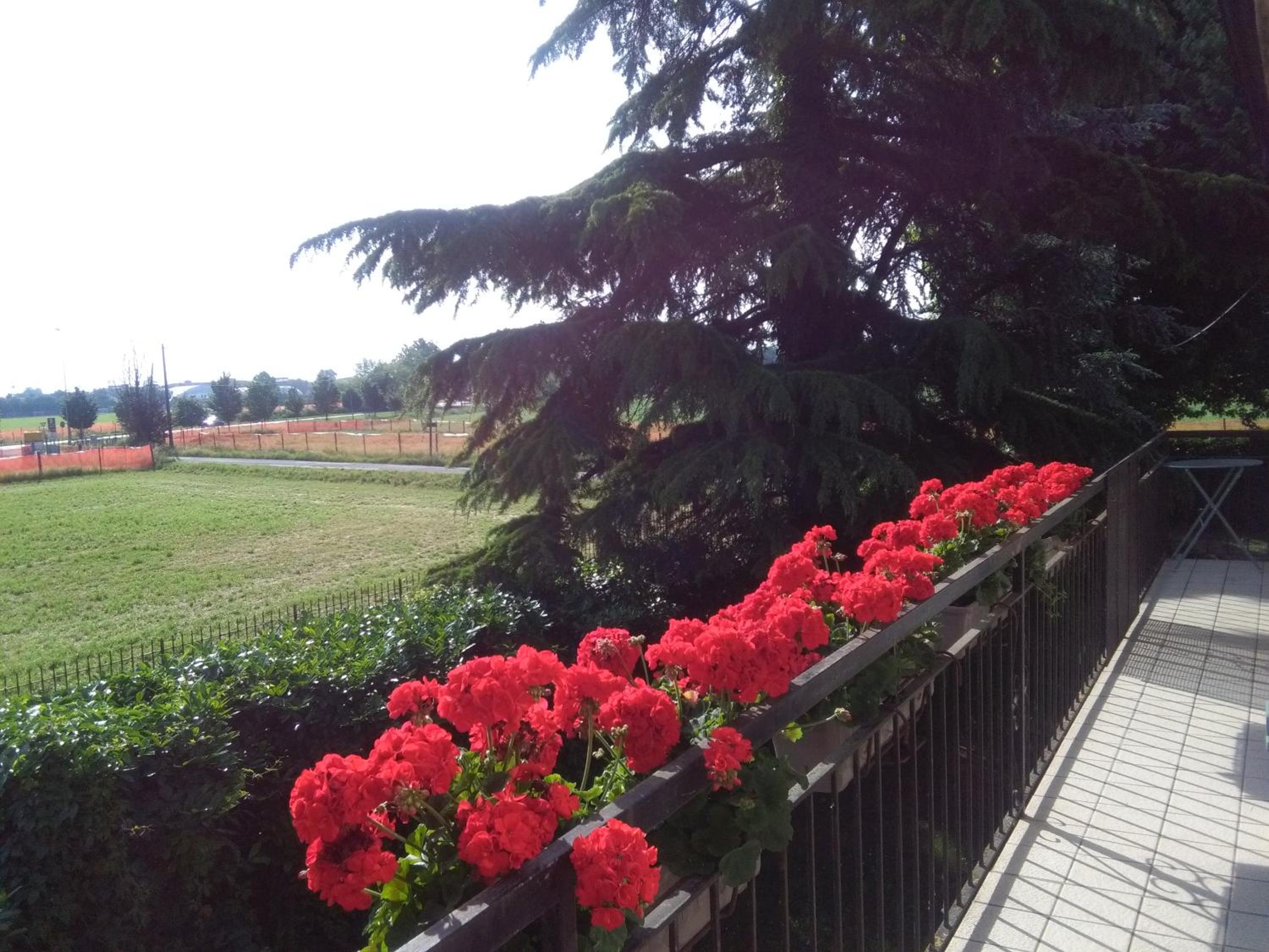 B&B CountryHouseAnna