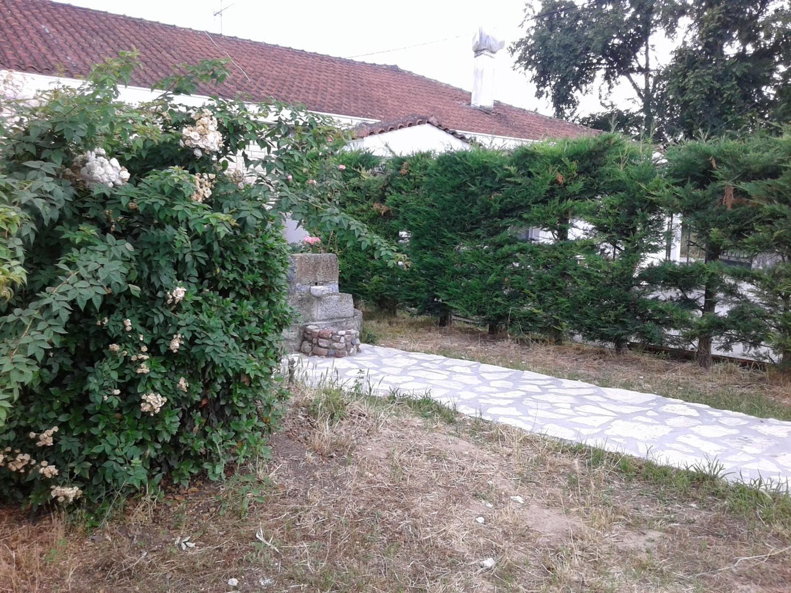 Photo 32