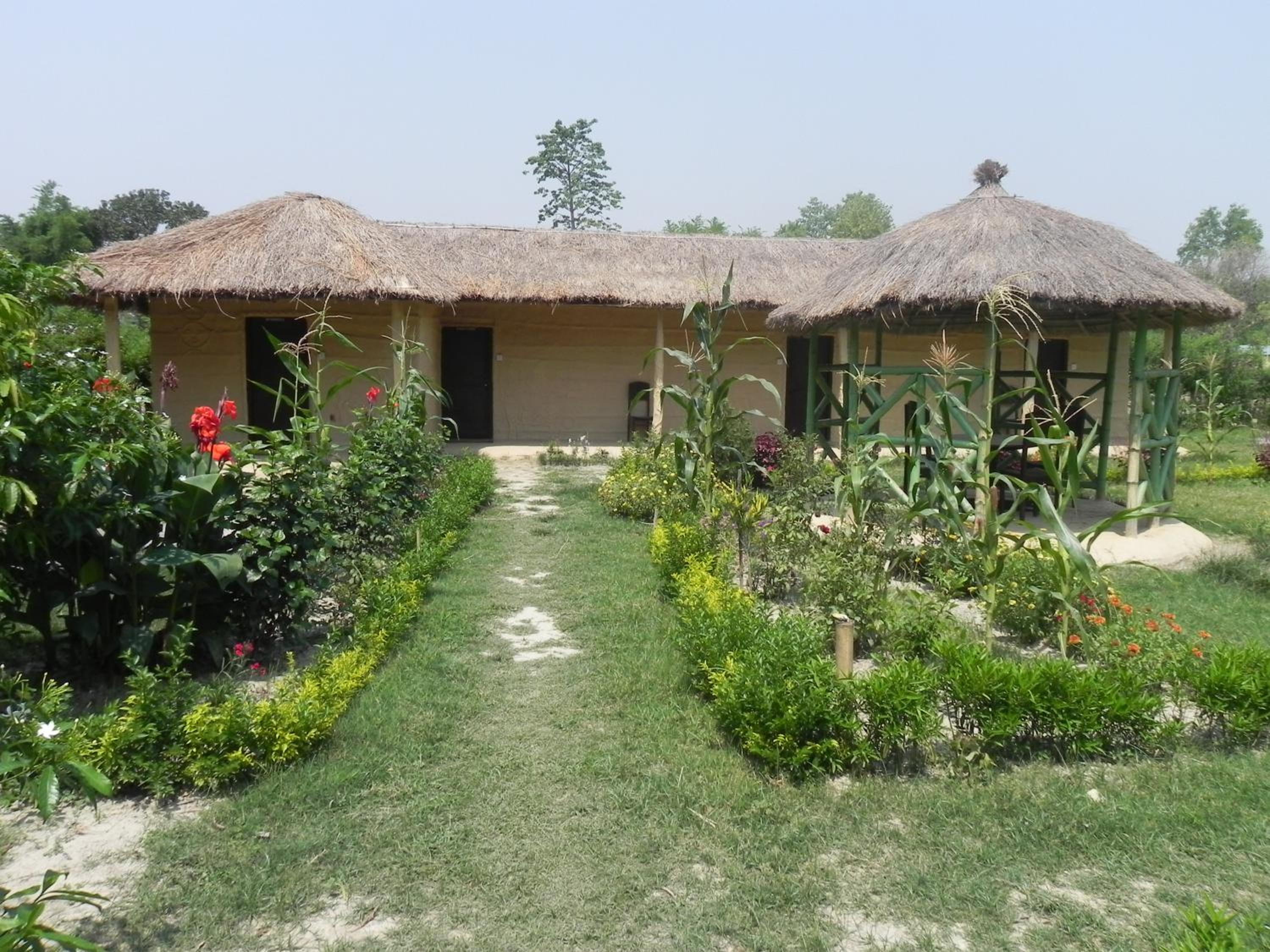 Racy Shade Resort Pvt.Ltd. view 5