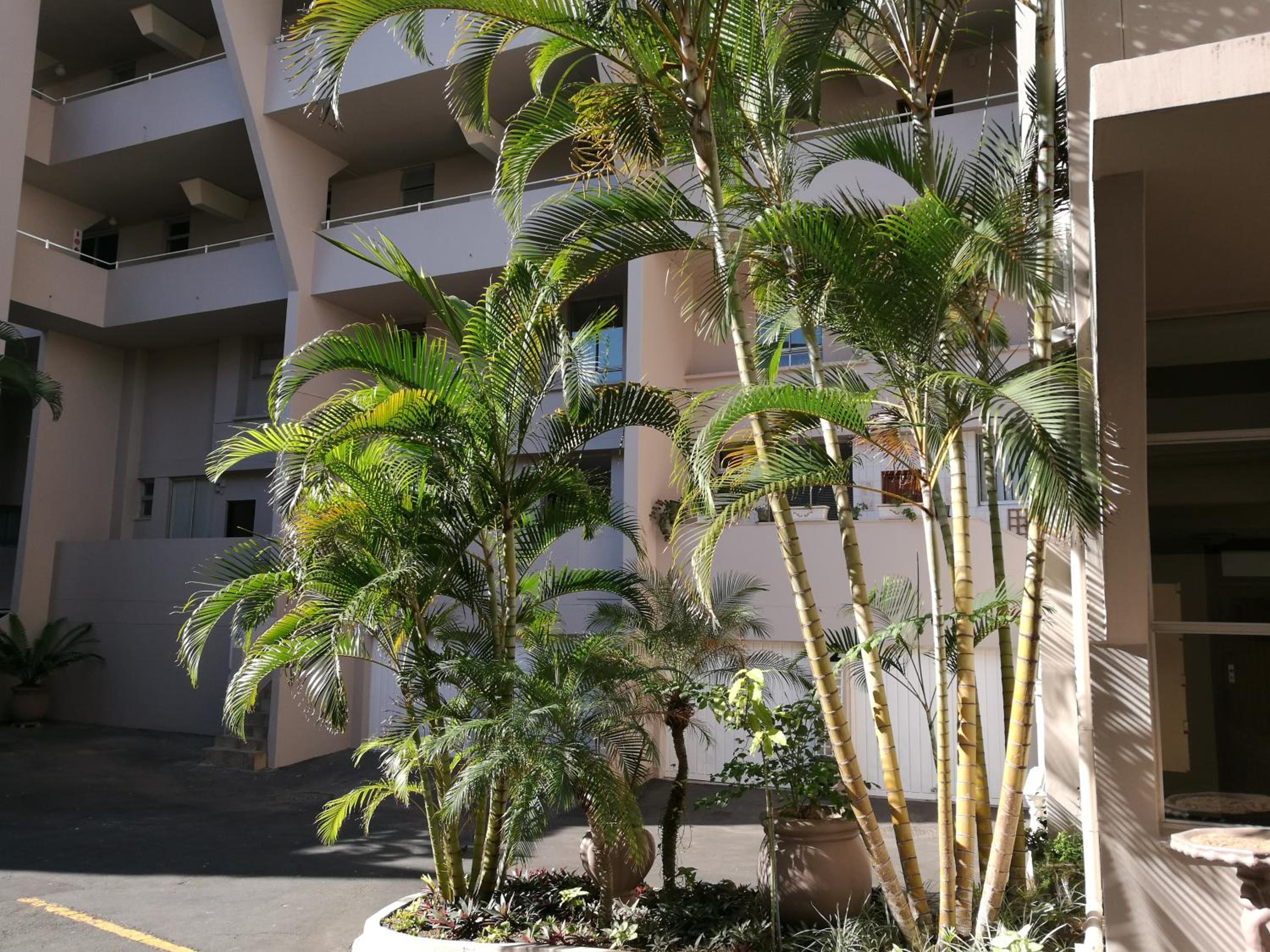 404 Ipanema Beach view 3