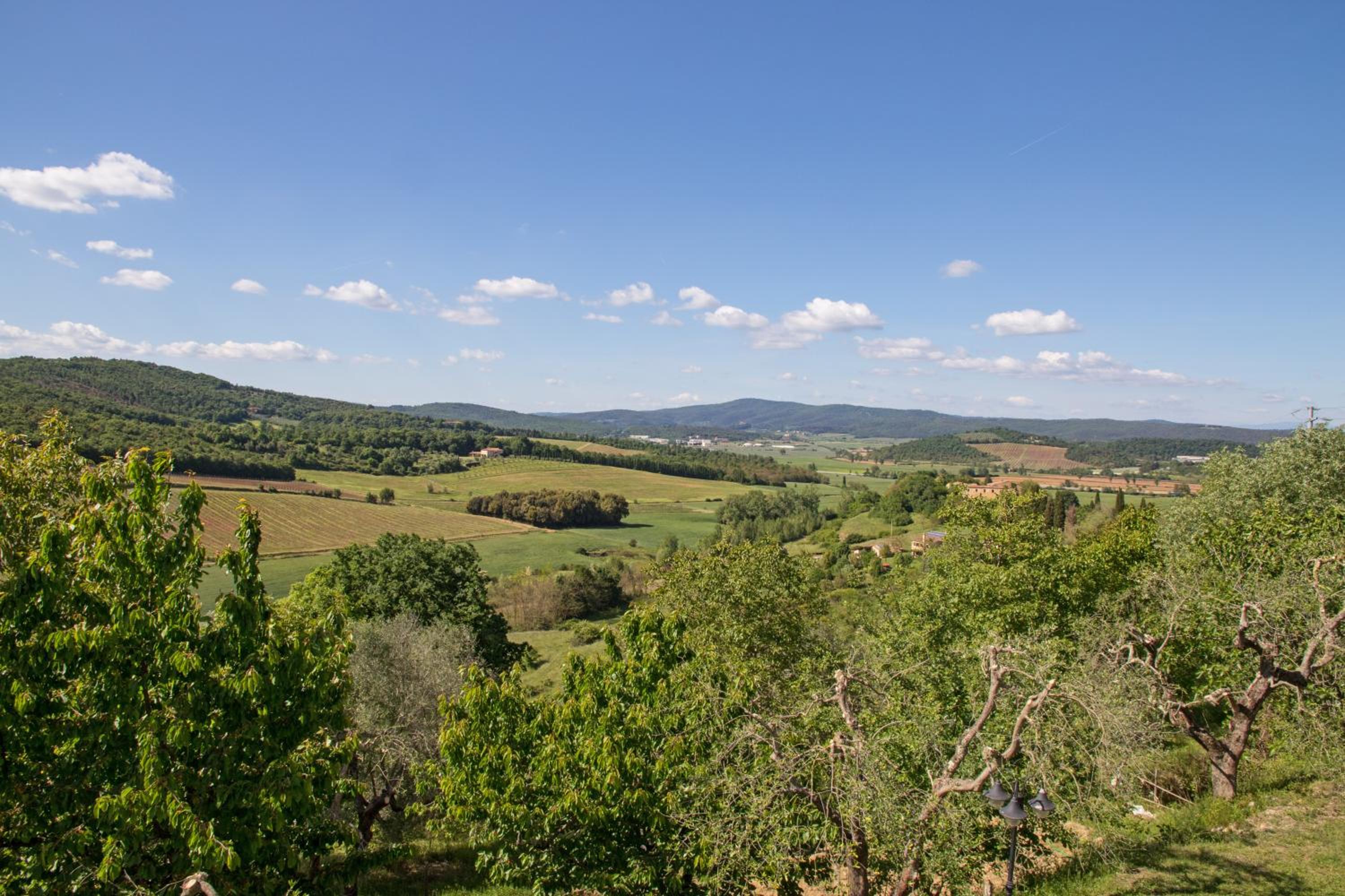 Podere Sant'Alessandro